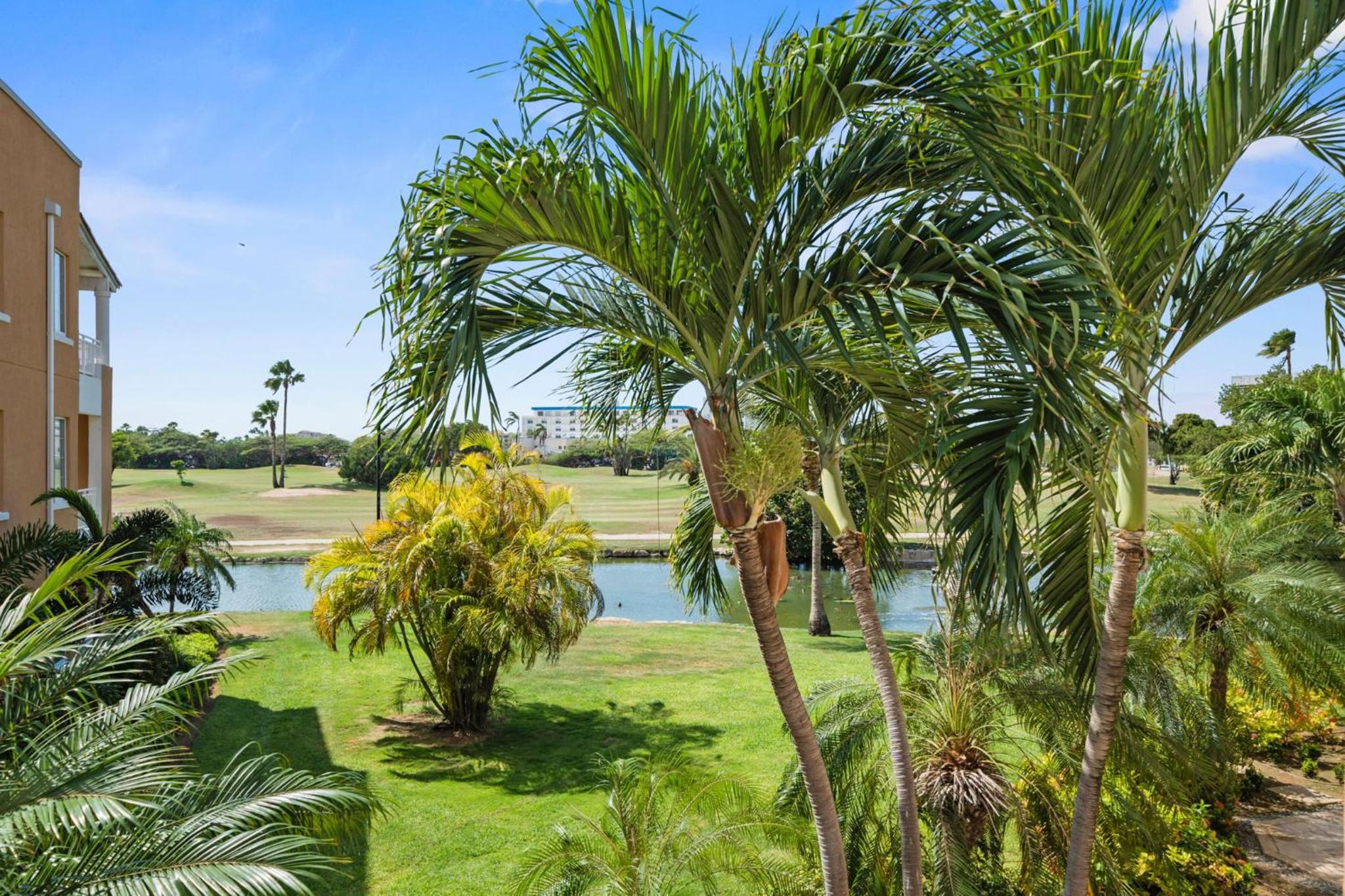 Divi Village Condo 22 J.E. Irausquin Blvd 93