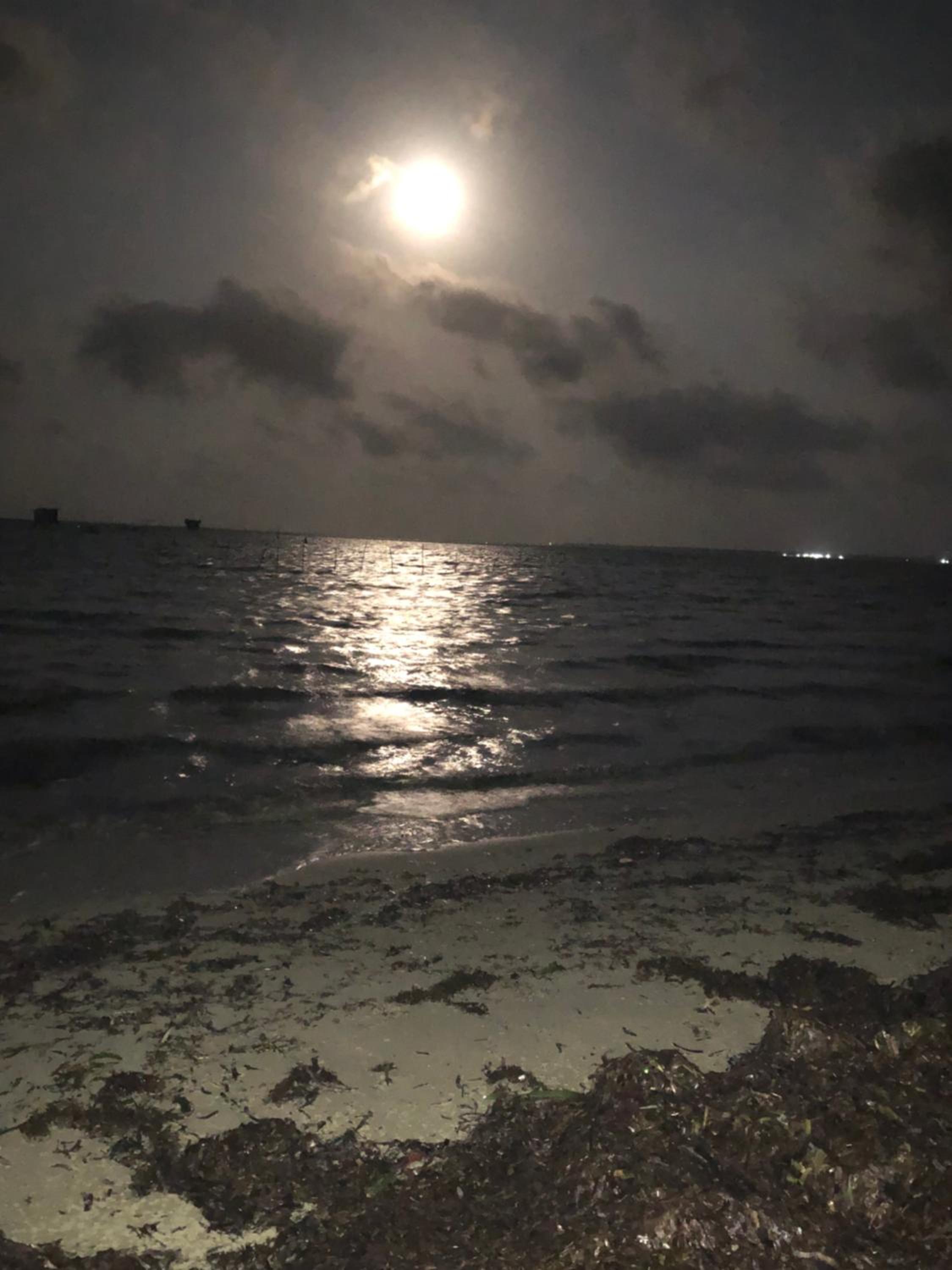 Thapovanam
