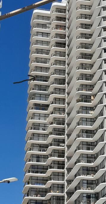 SURFERS PARADISE ABSOLUTE BEACHFRONT WITH VIEWS, 24th FLOOR , 1 br Apt - IDEAL FOR COUPLES or 2 PPL TRAVELLING TOGETHER