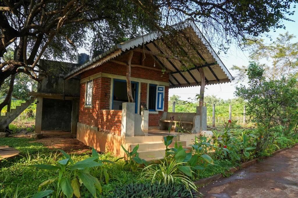 Habarana hideout