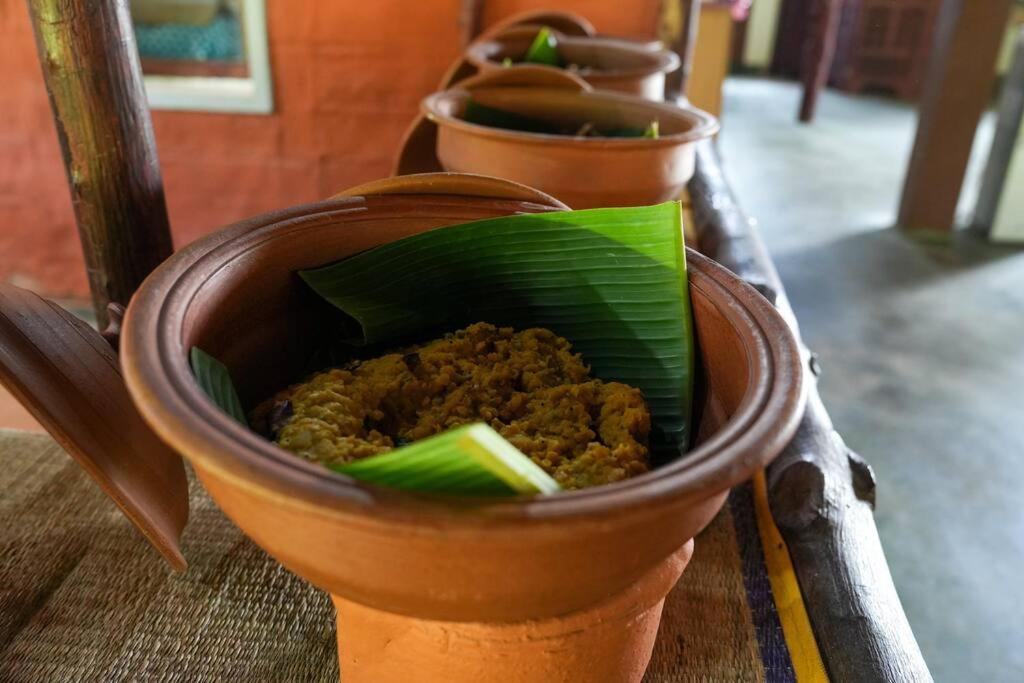 Habarana hideout