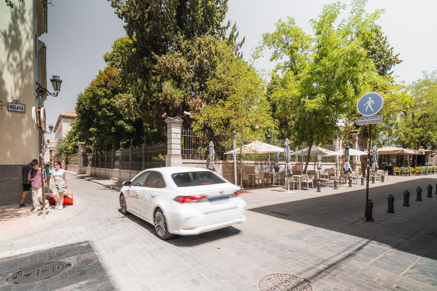 tuAnfitrion Jardín Botánico Apartment con Parking