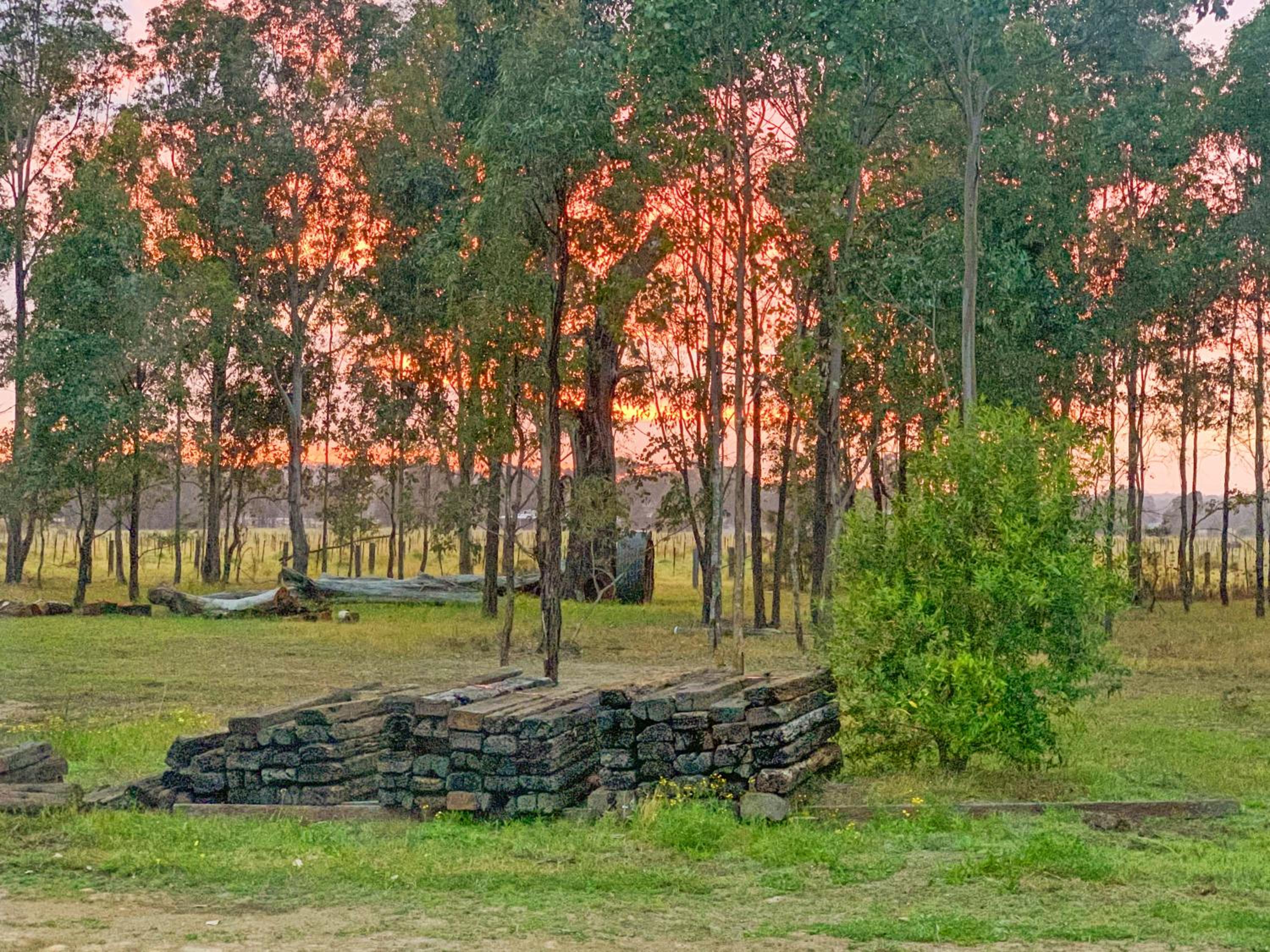 Las Palmas Hunter Valley Estate, 11m Pool, Kangaroos, Fire Pit, Playground