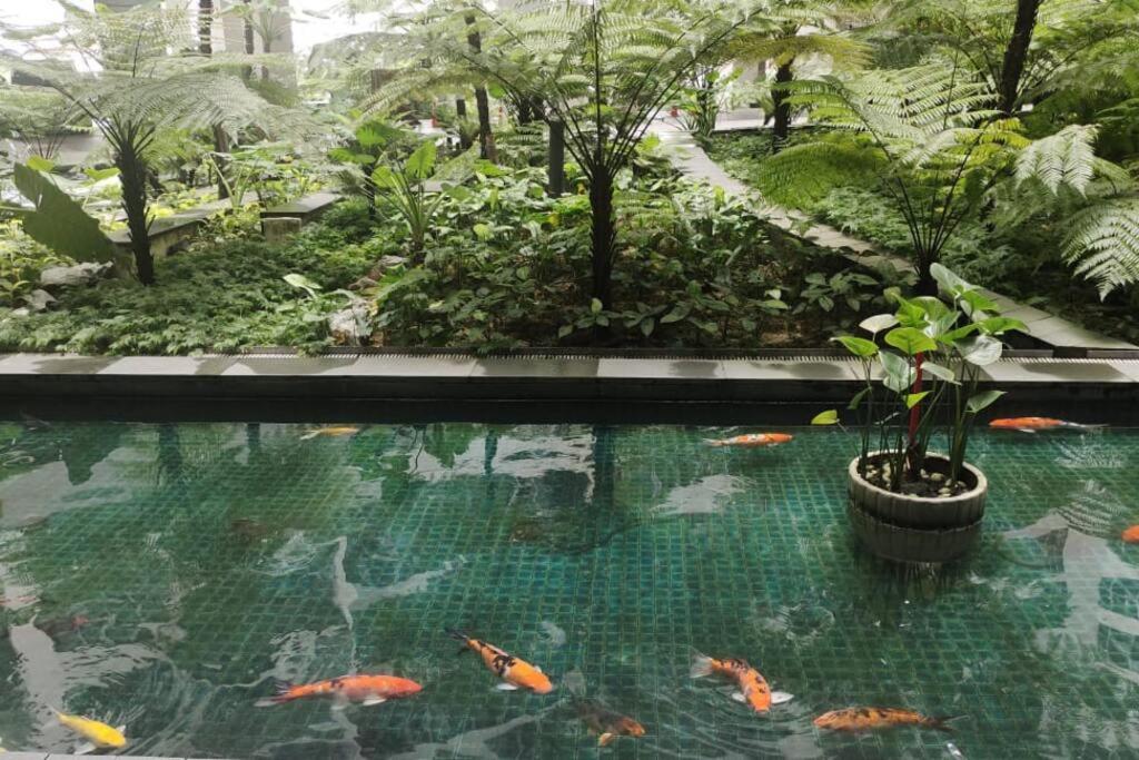 Immersed in the warmth and natural ambience