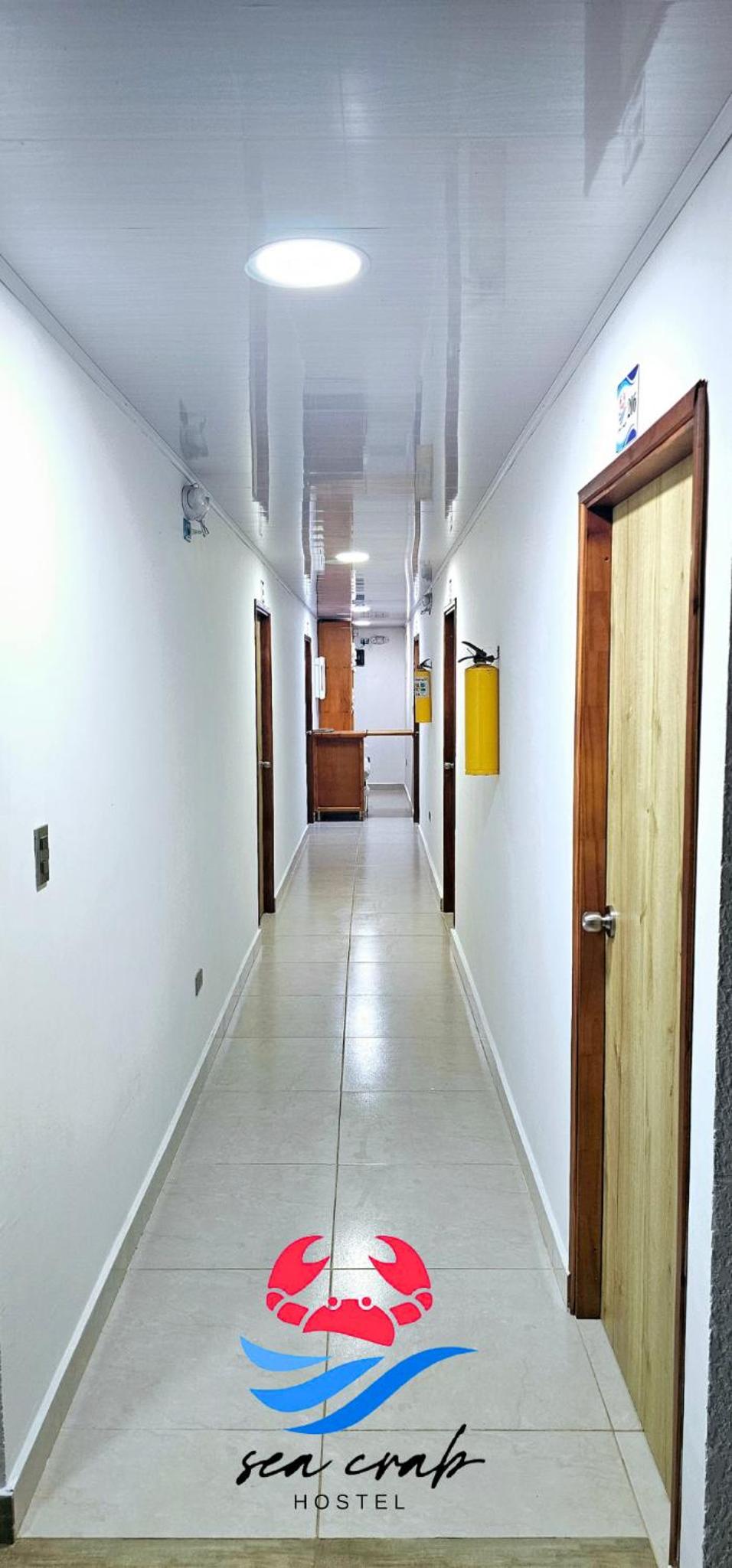 Hostel sea crab