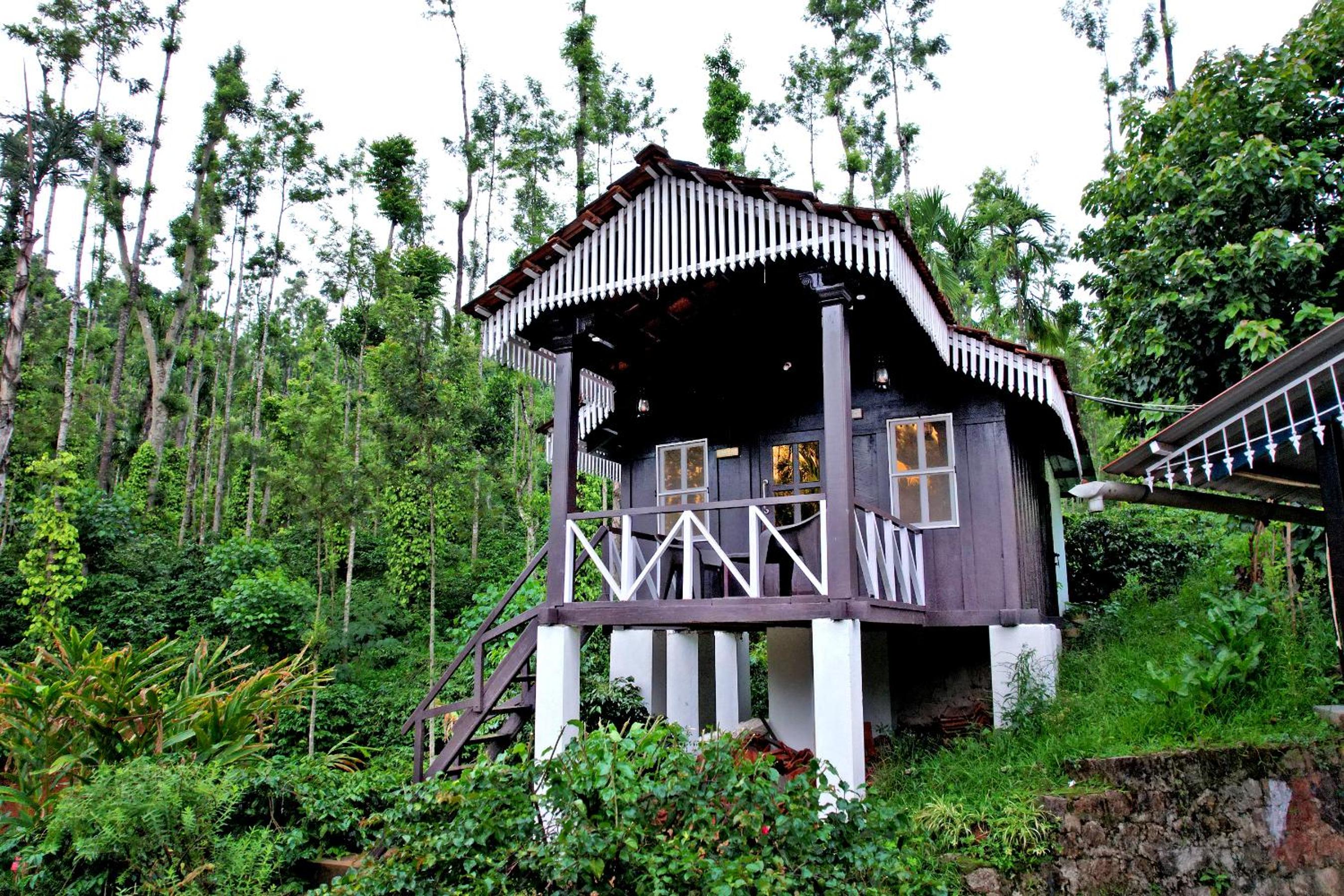 Jungle Greens Homestay - Private Cottage, 150Y Old Estate view 2