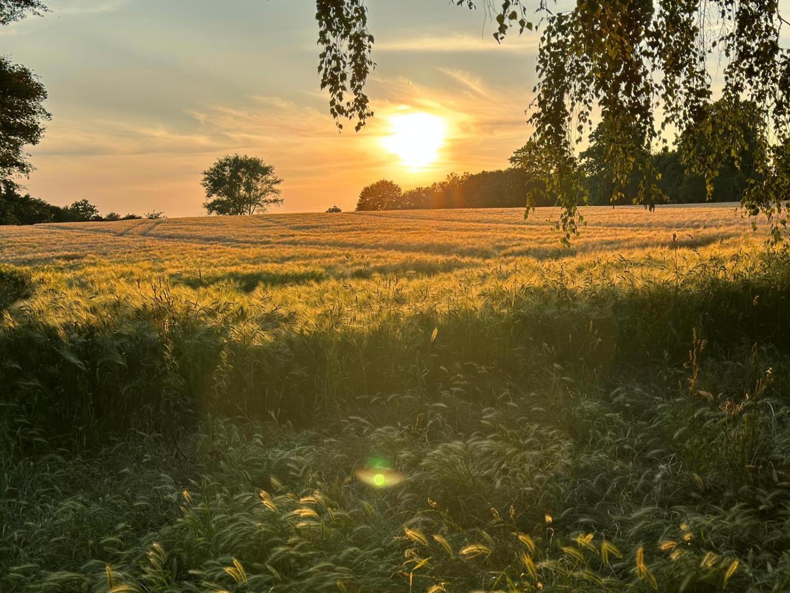 Romantisches Wellness Landhaus