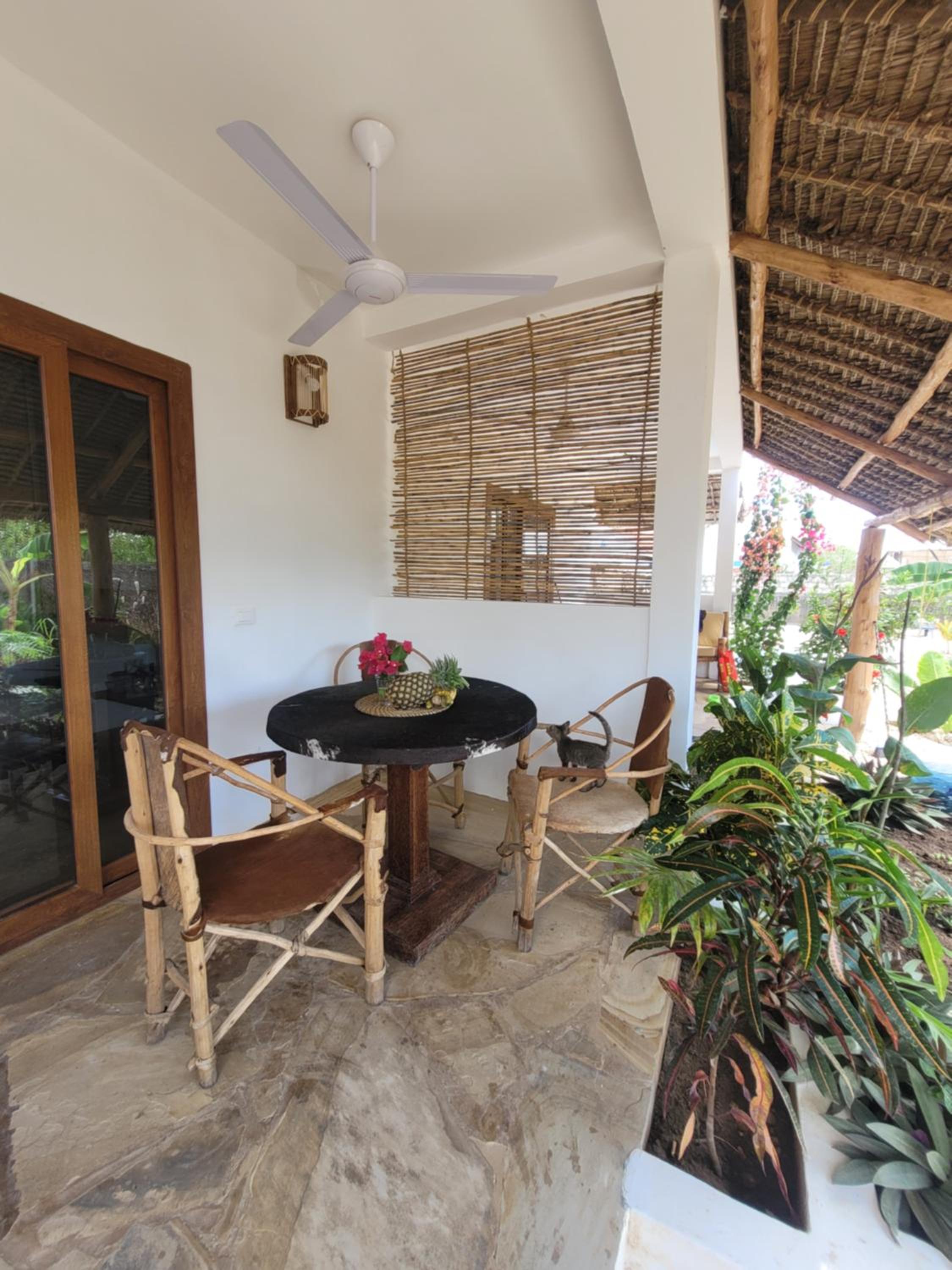 Iaia apartments