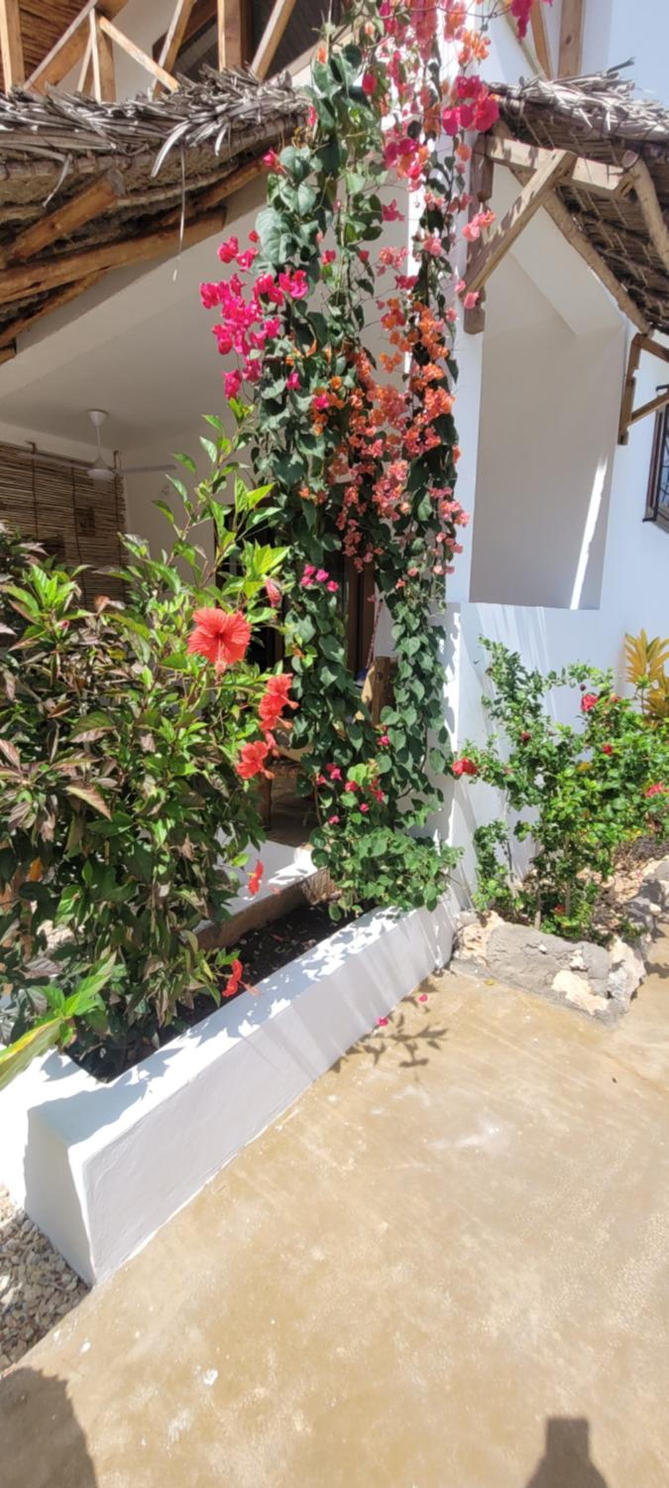 Iaia apartments