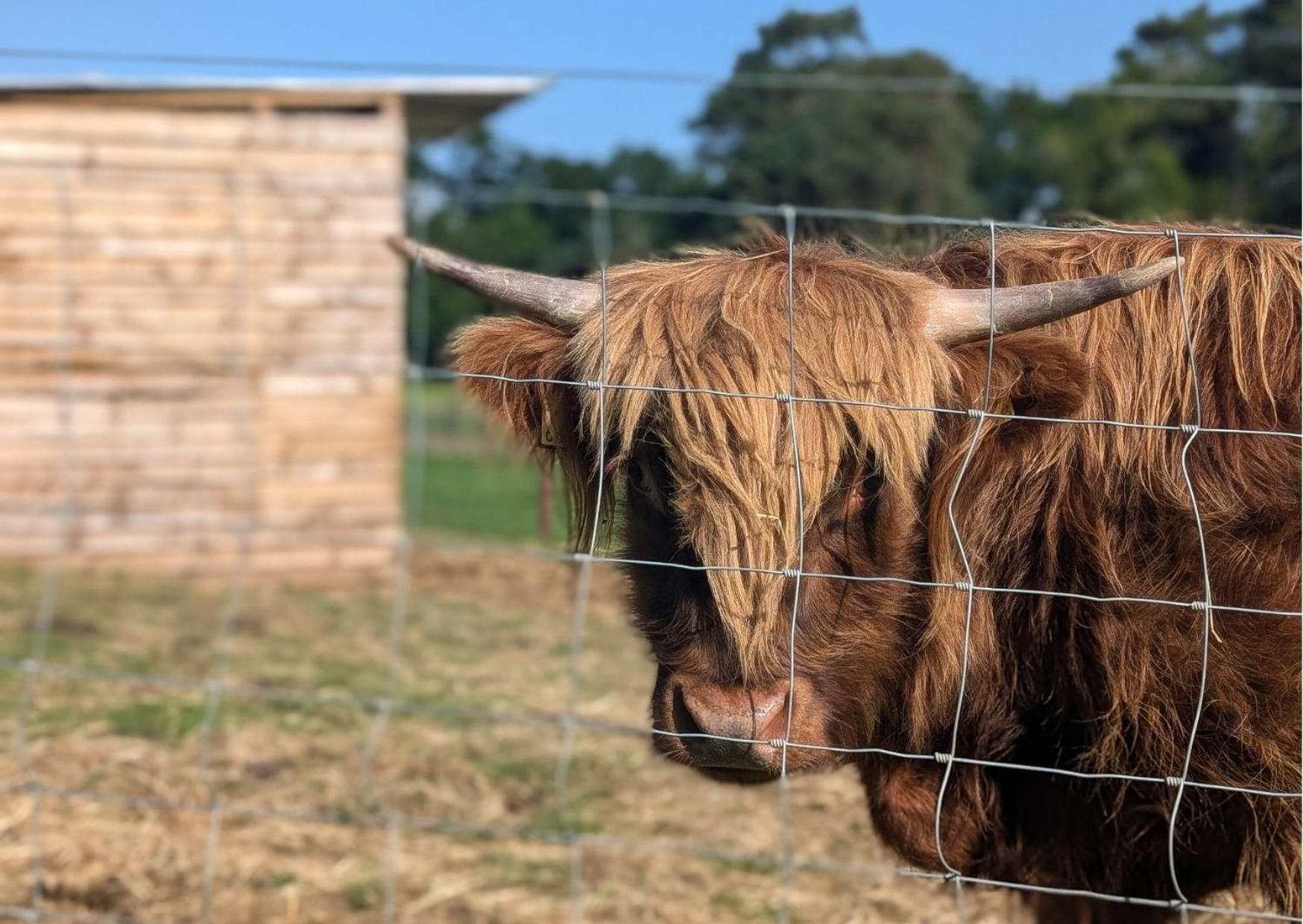 Cow & Plough Stoughton Grange