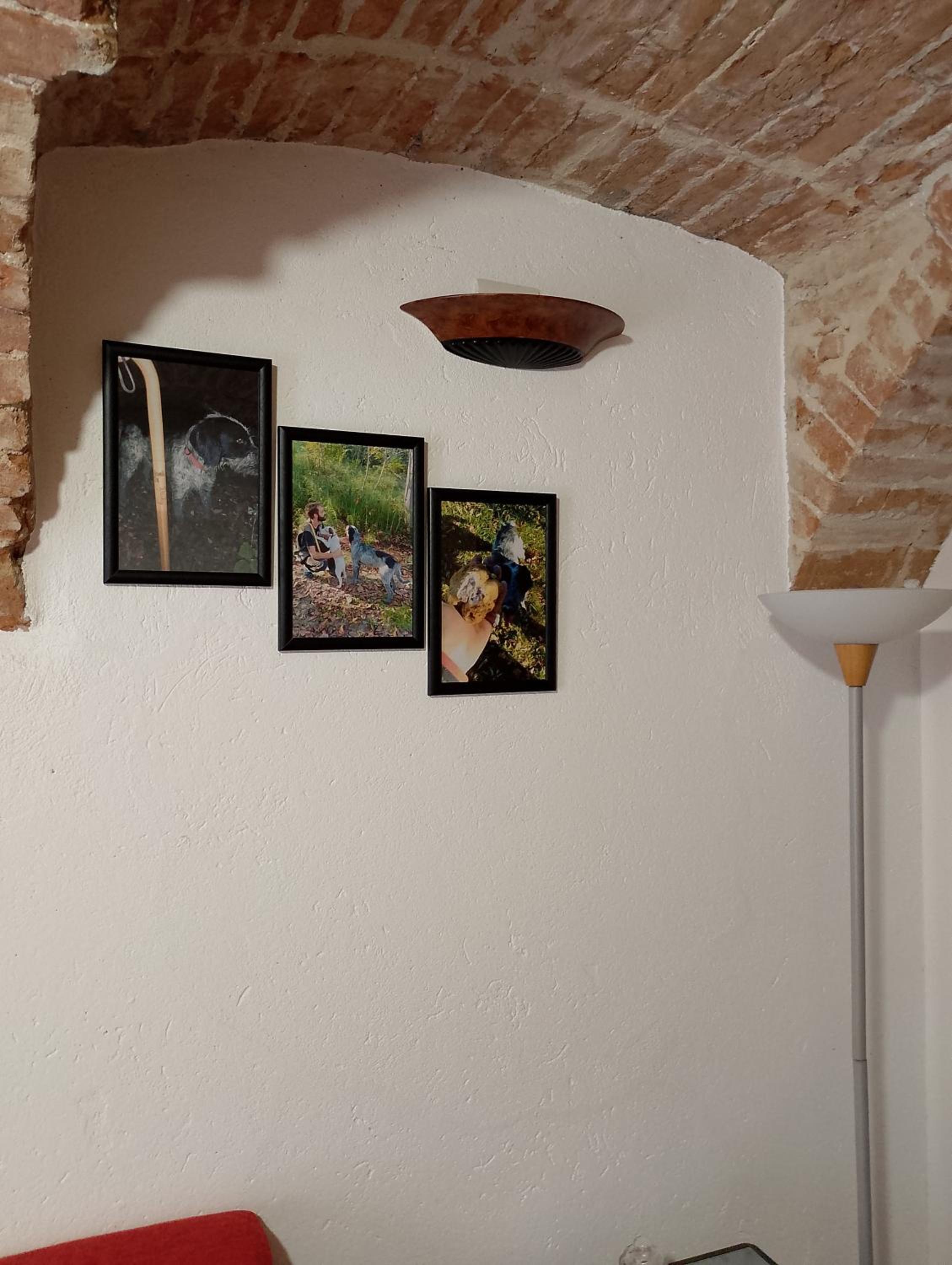 Ca' D'Rosina view 4