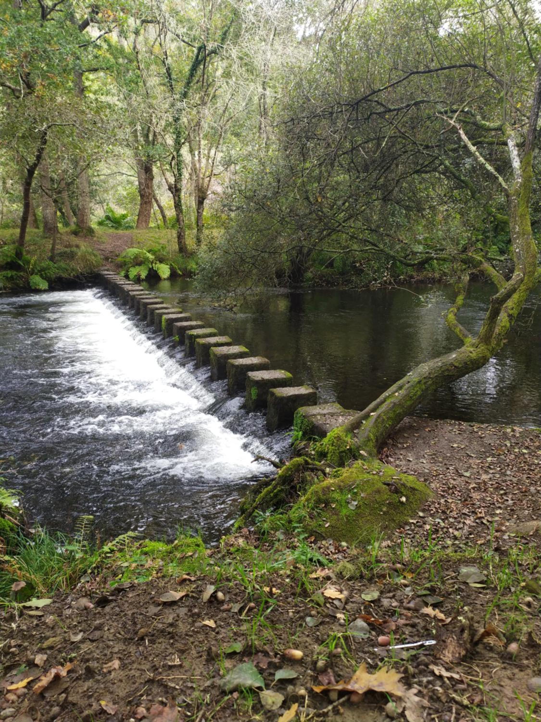 Photo 44