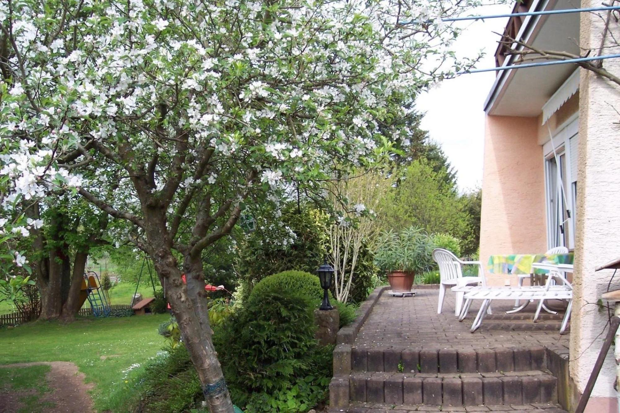 Ferienwohnungen 'Blick Zur Madonna' - Property Image 65
