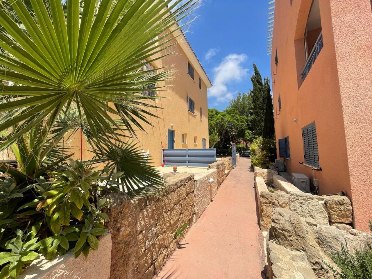 Paphos-Limnaria Garden
