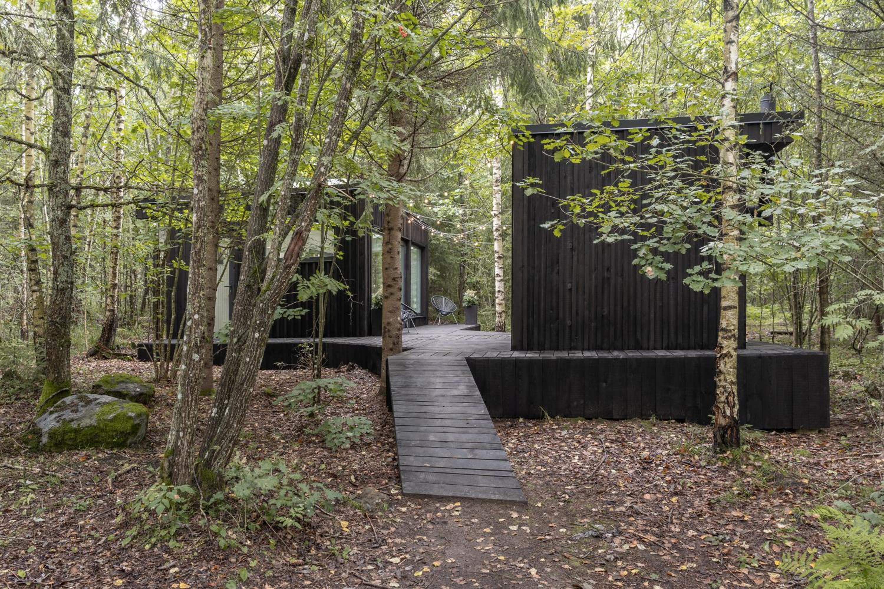 Bathinforest
