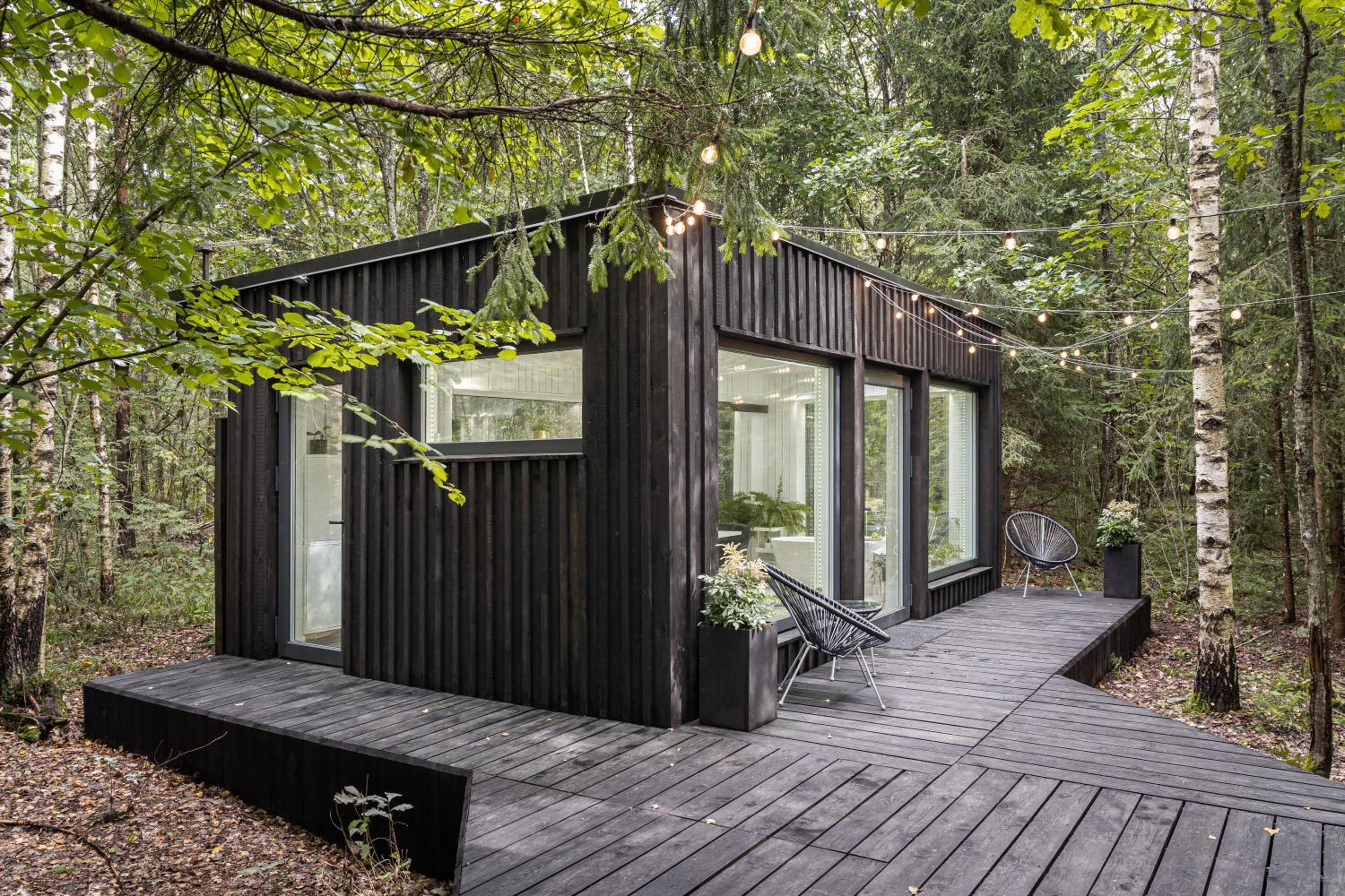 Bathinforest