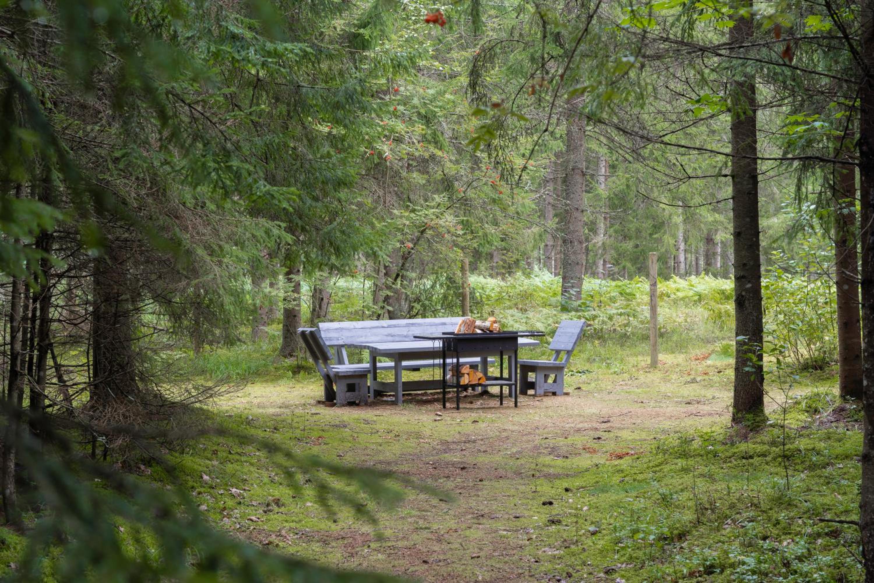 Bathinforest
