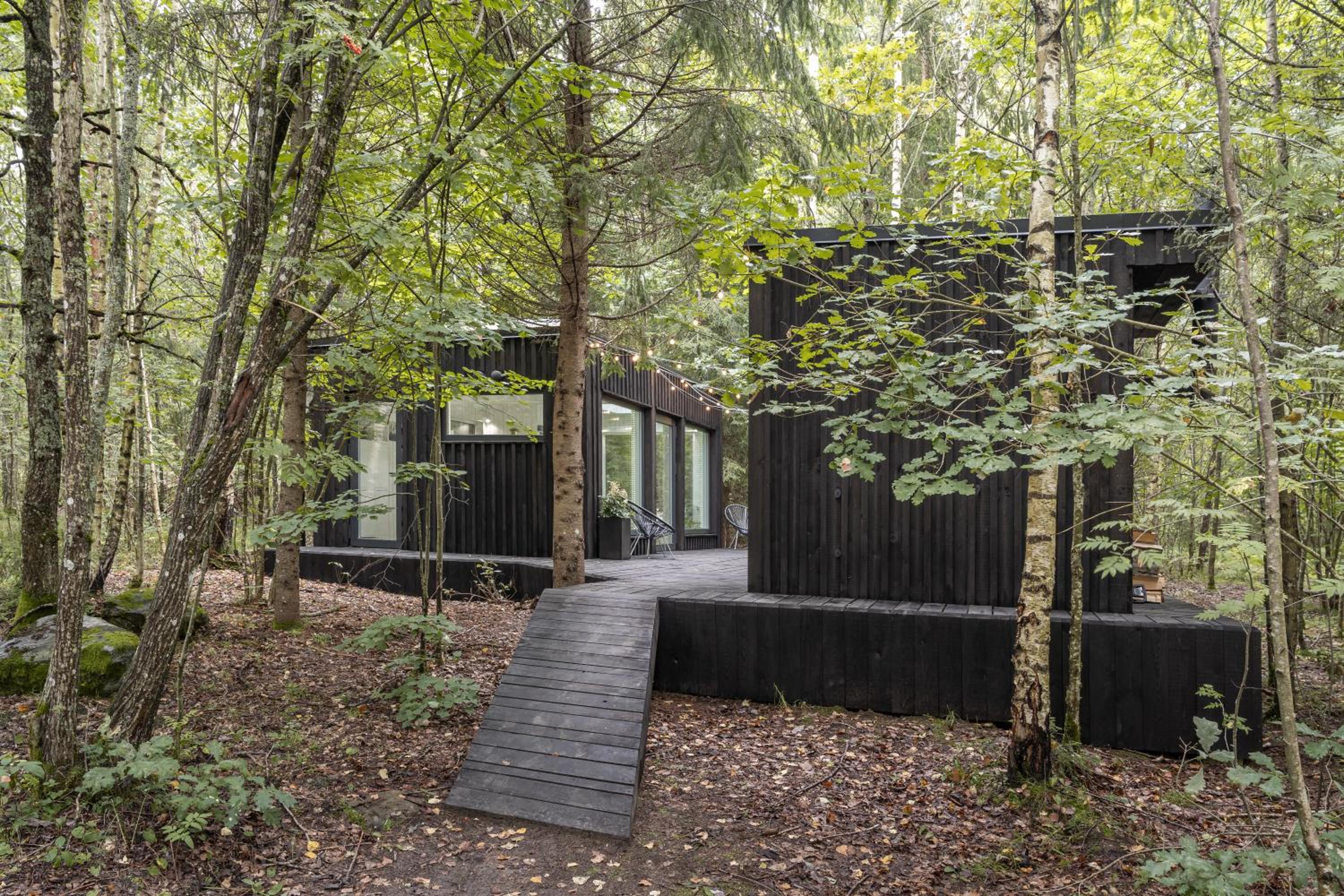 Bathinforest