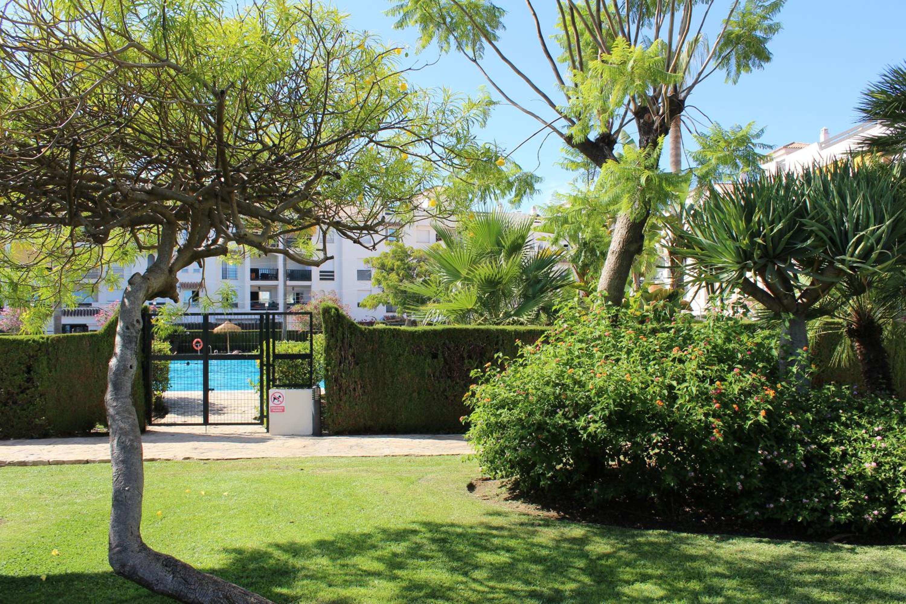 Marbella Vacations - Beach Apartments in Lorcrisur San Pedro Marbella - Property Image 40