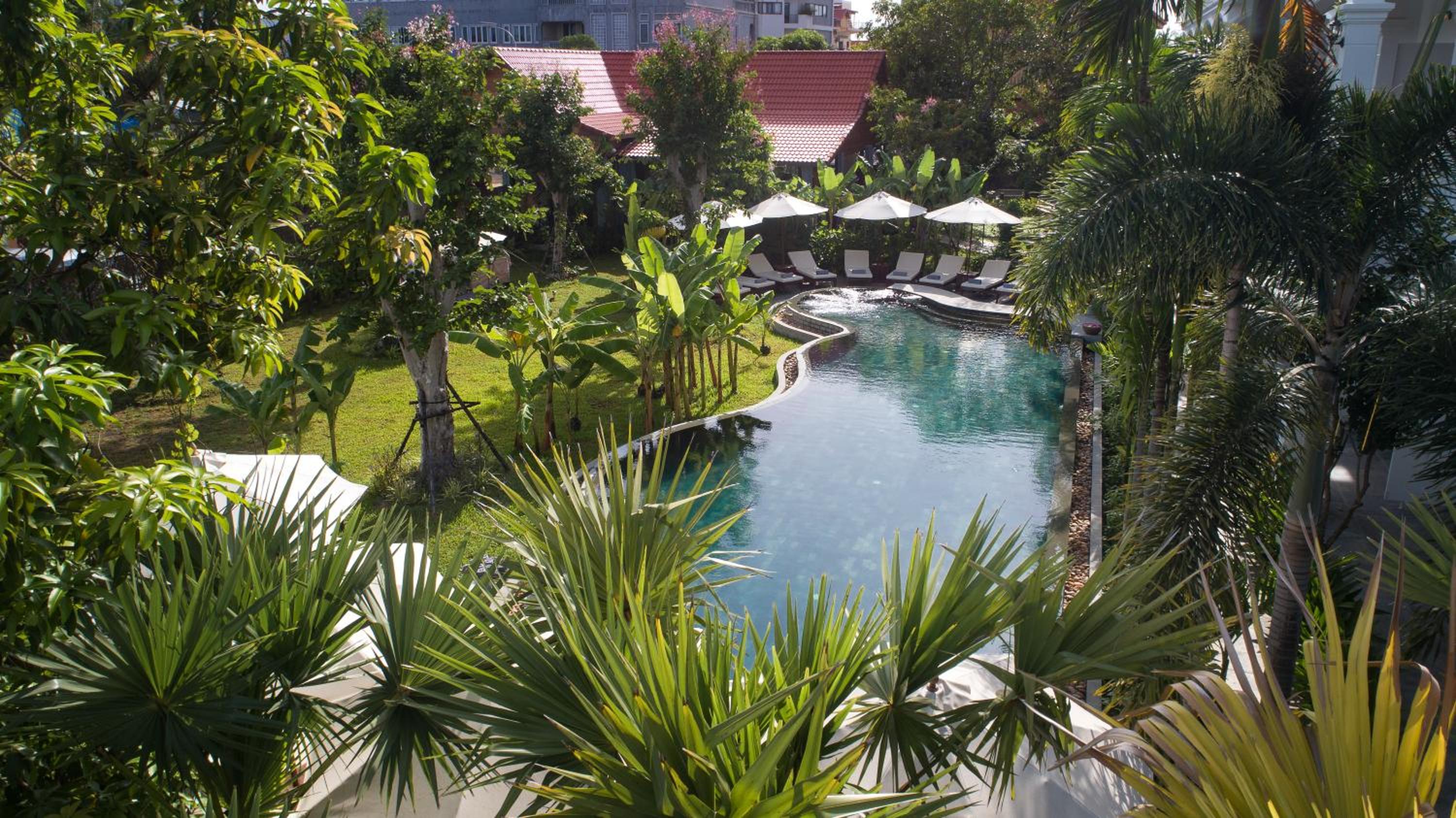 Hotel The Jungle - Image 1