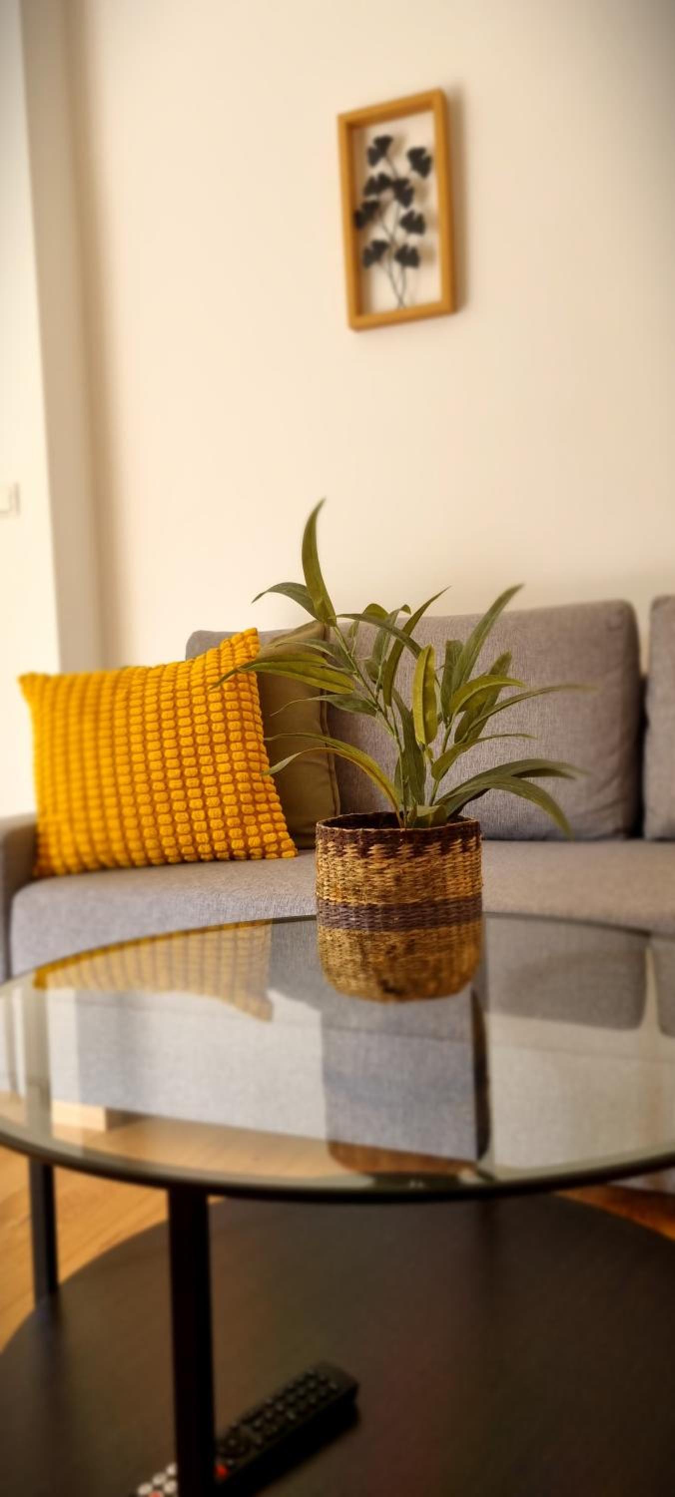 Apartments in Graz