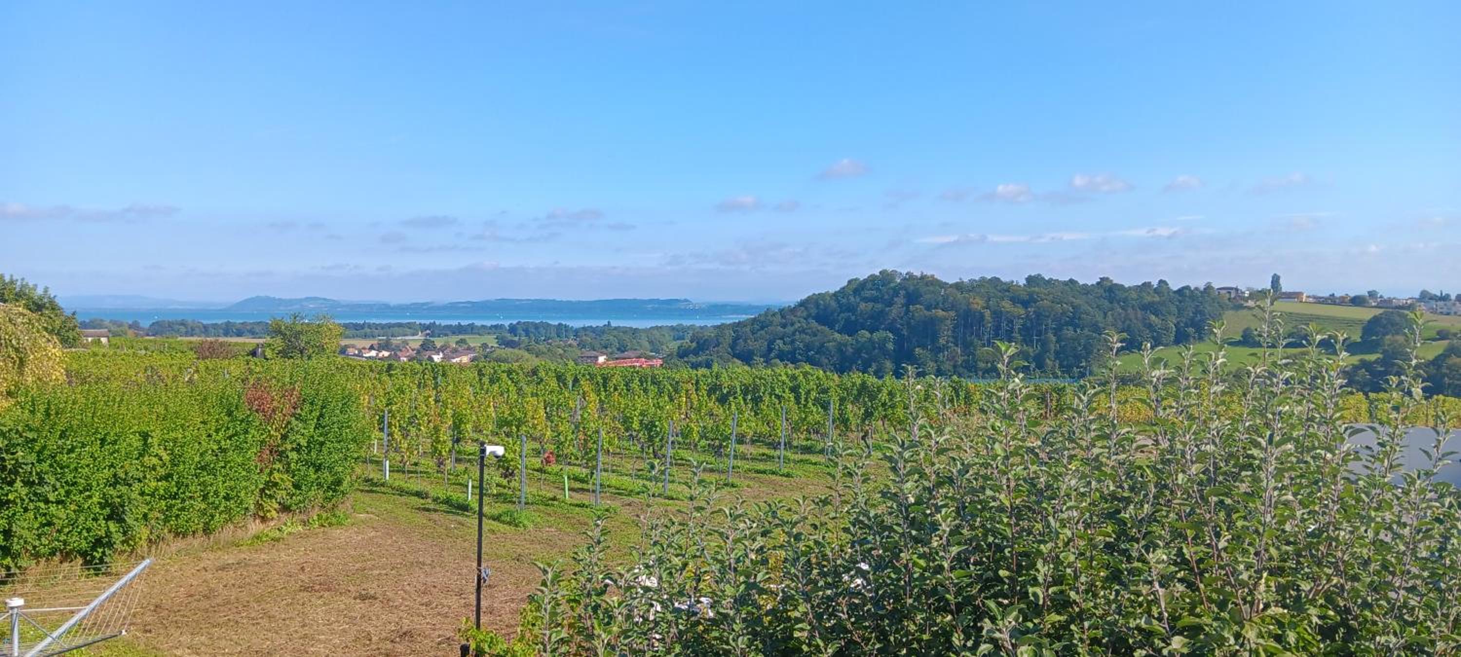 Villa de charme élégante, calme, nature