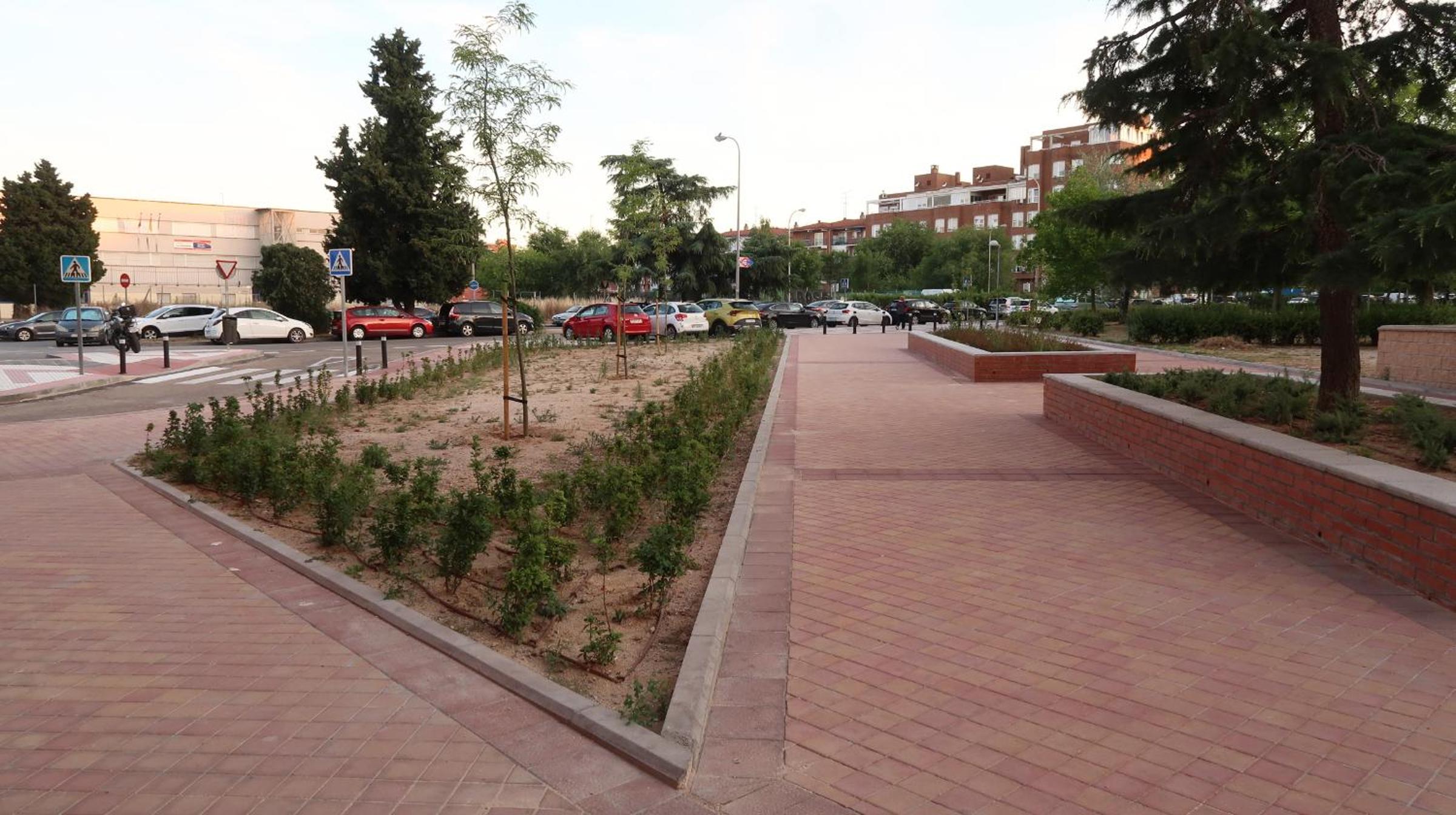 Ama Madrid Metropolitano 11 view 3