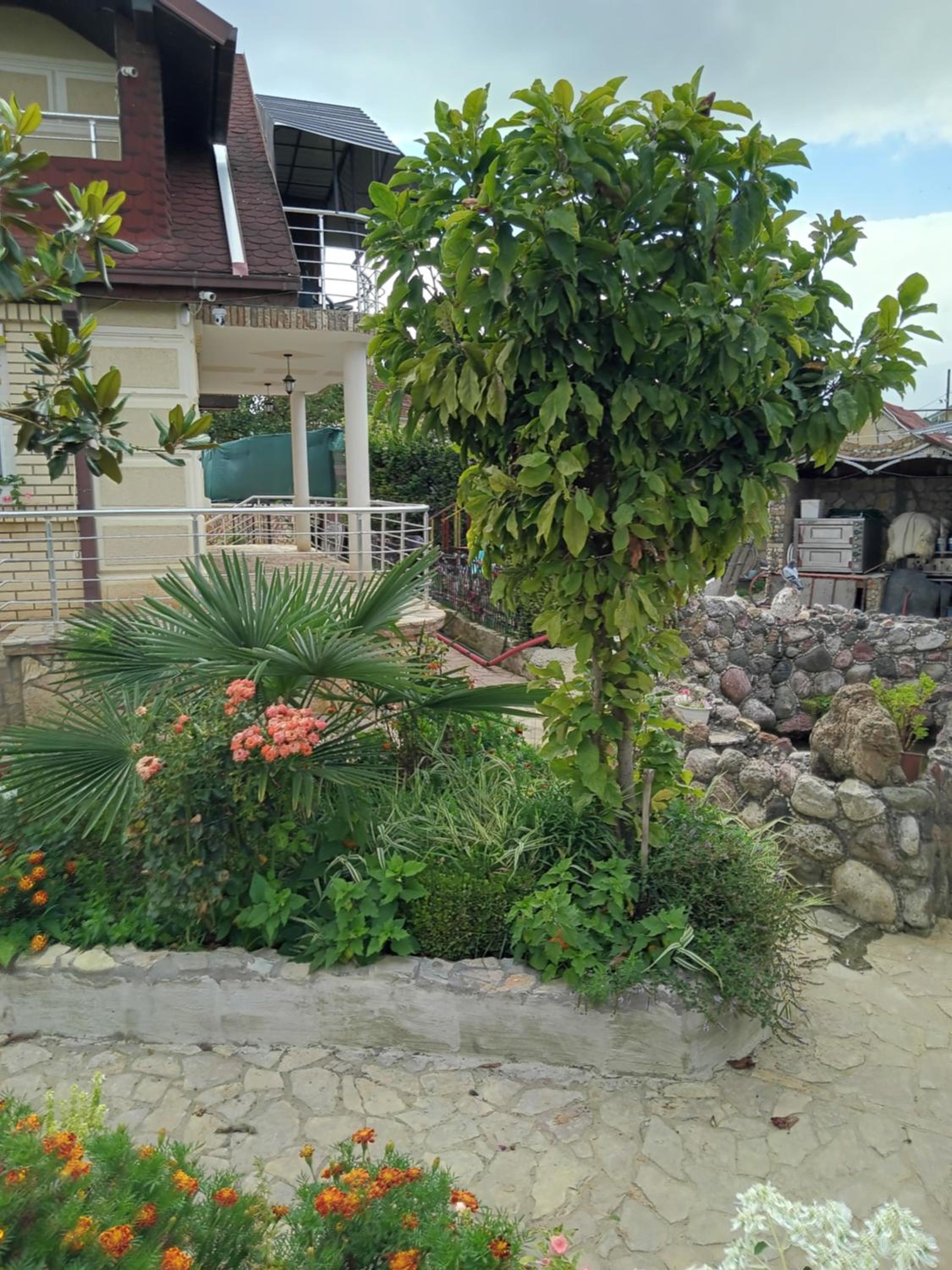 Panorama Vels 1 view 3