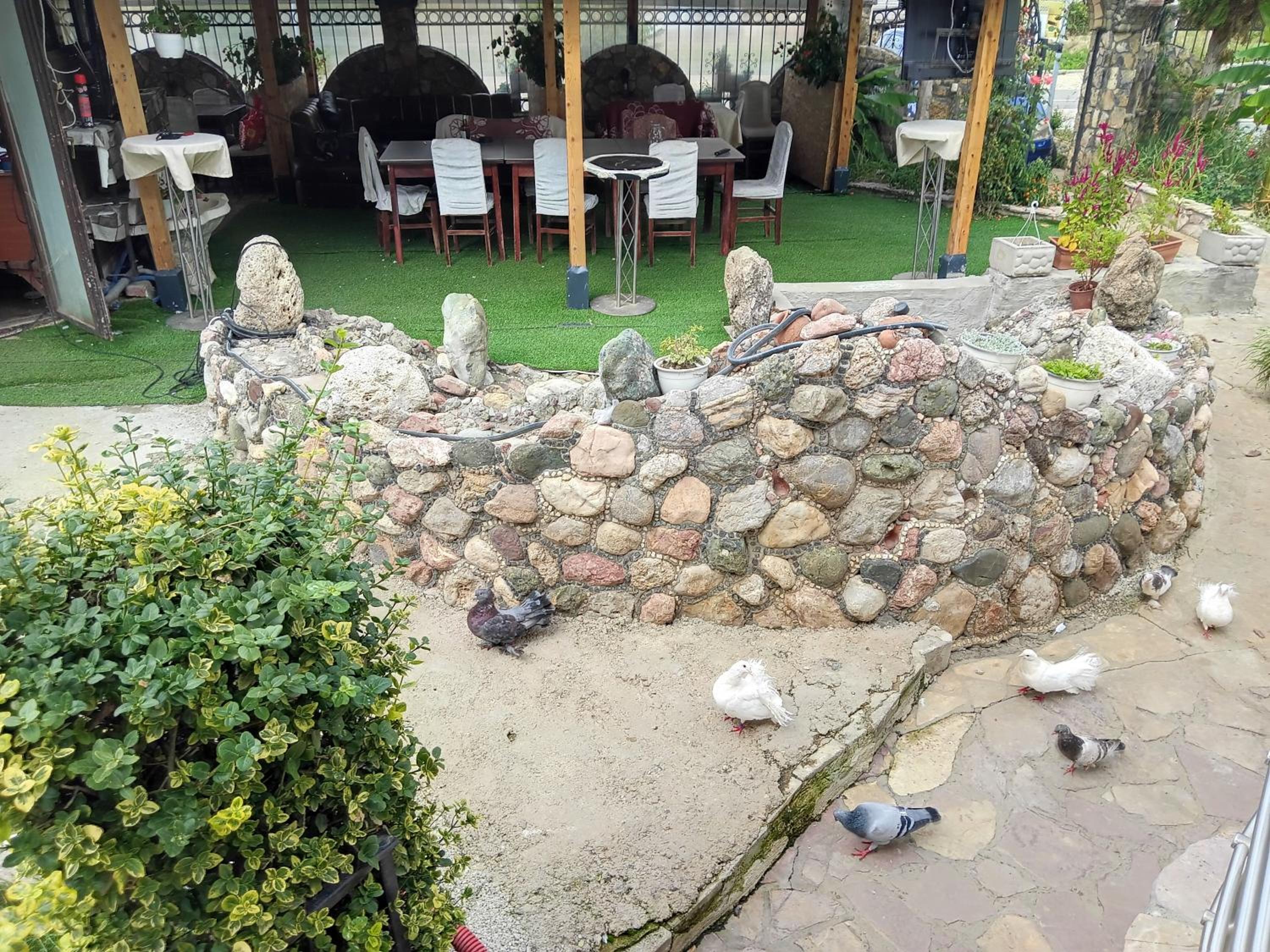 Photo 21