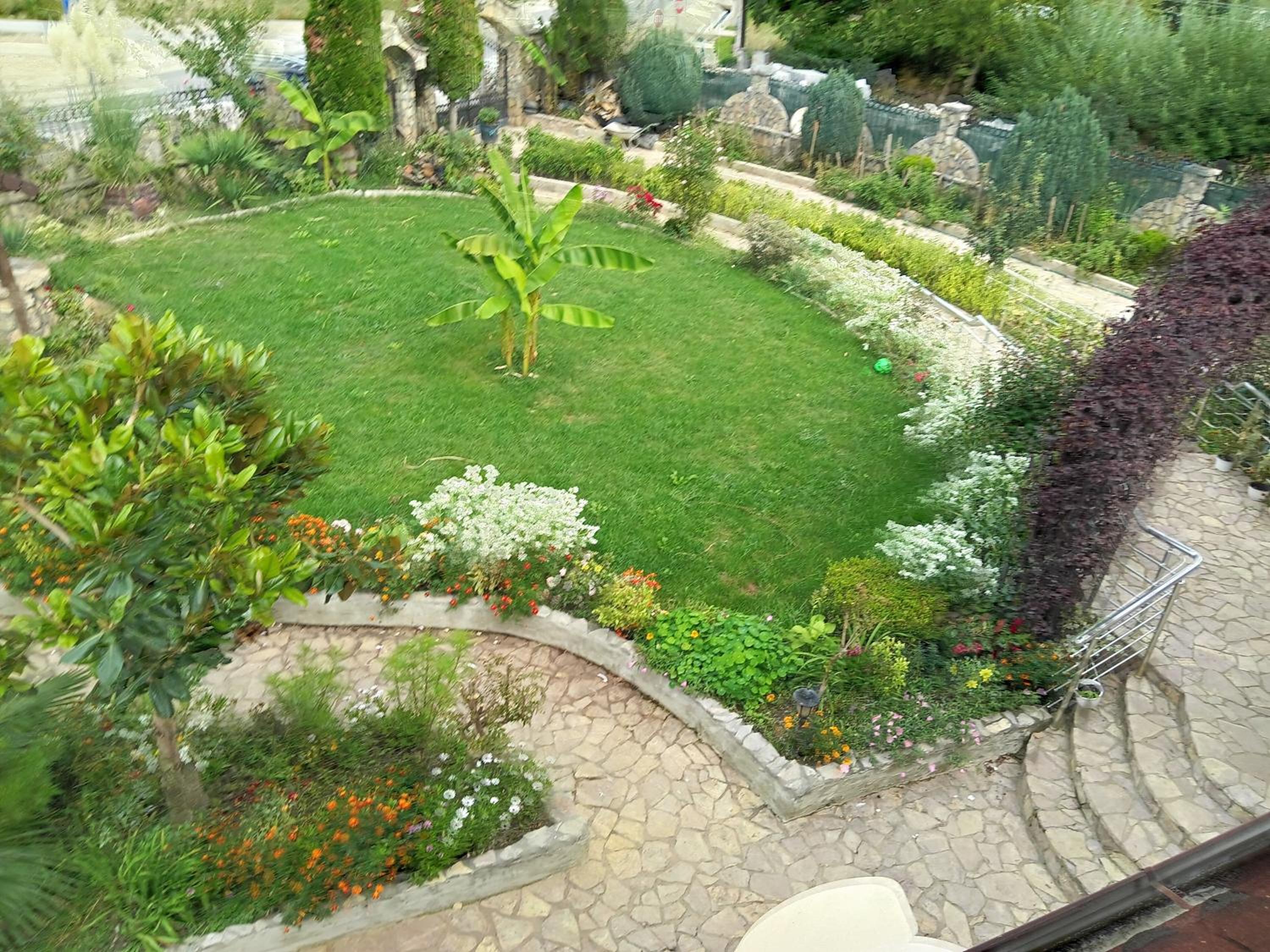 Photo 25