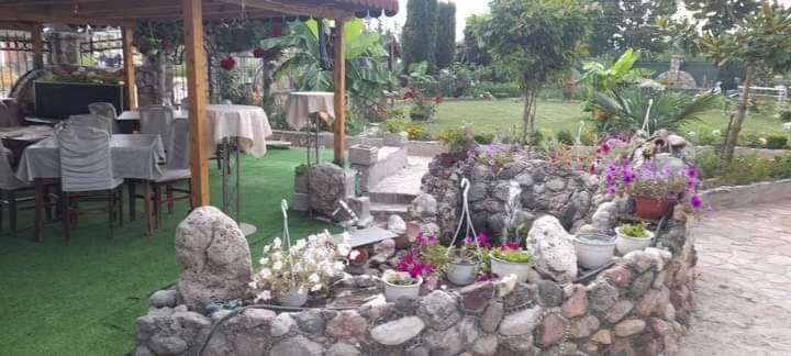 Photo 44