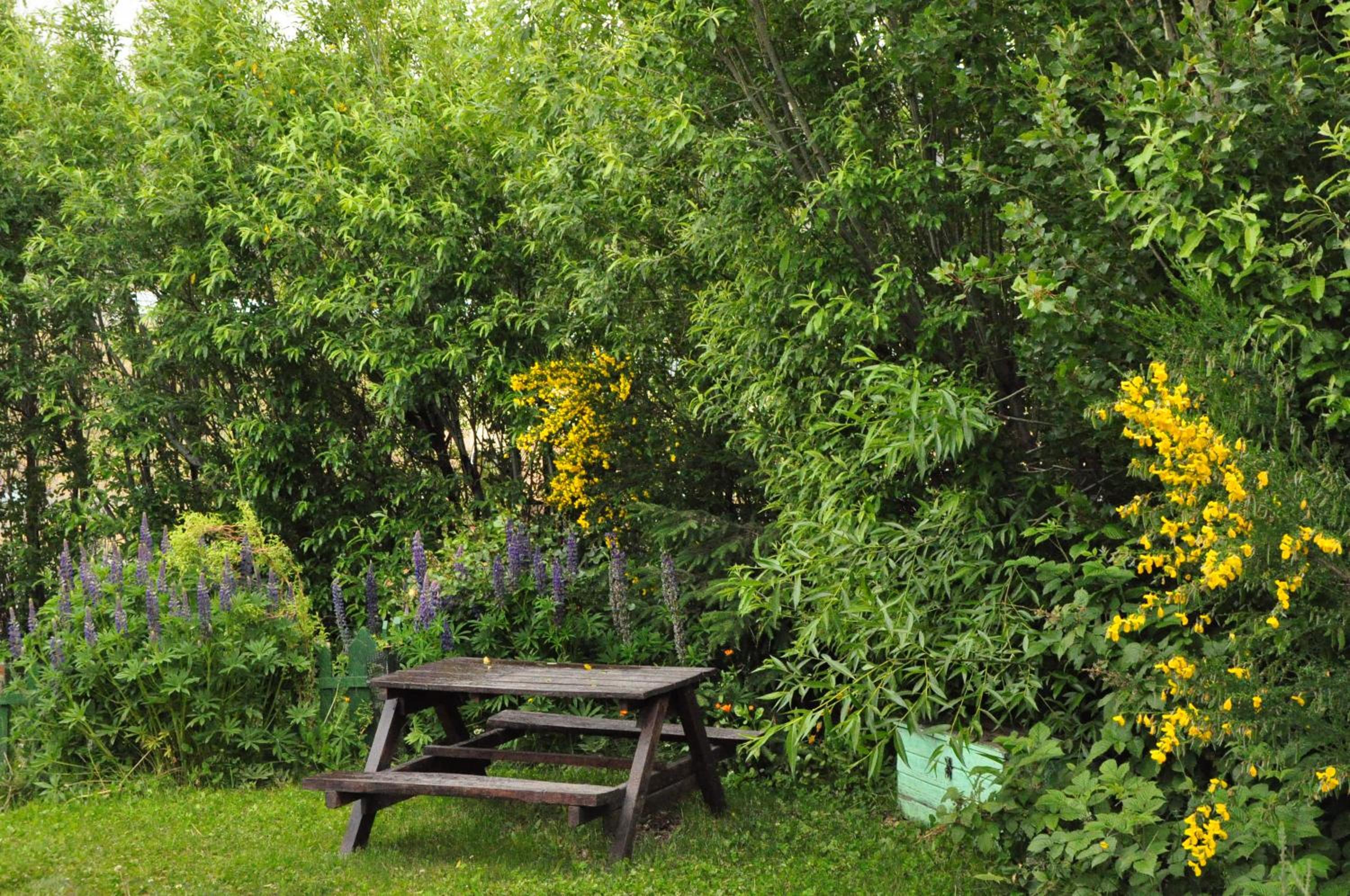 Kiritina´s House Homestay