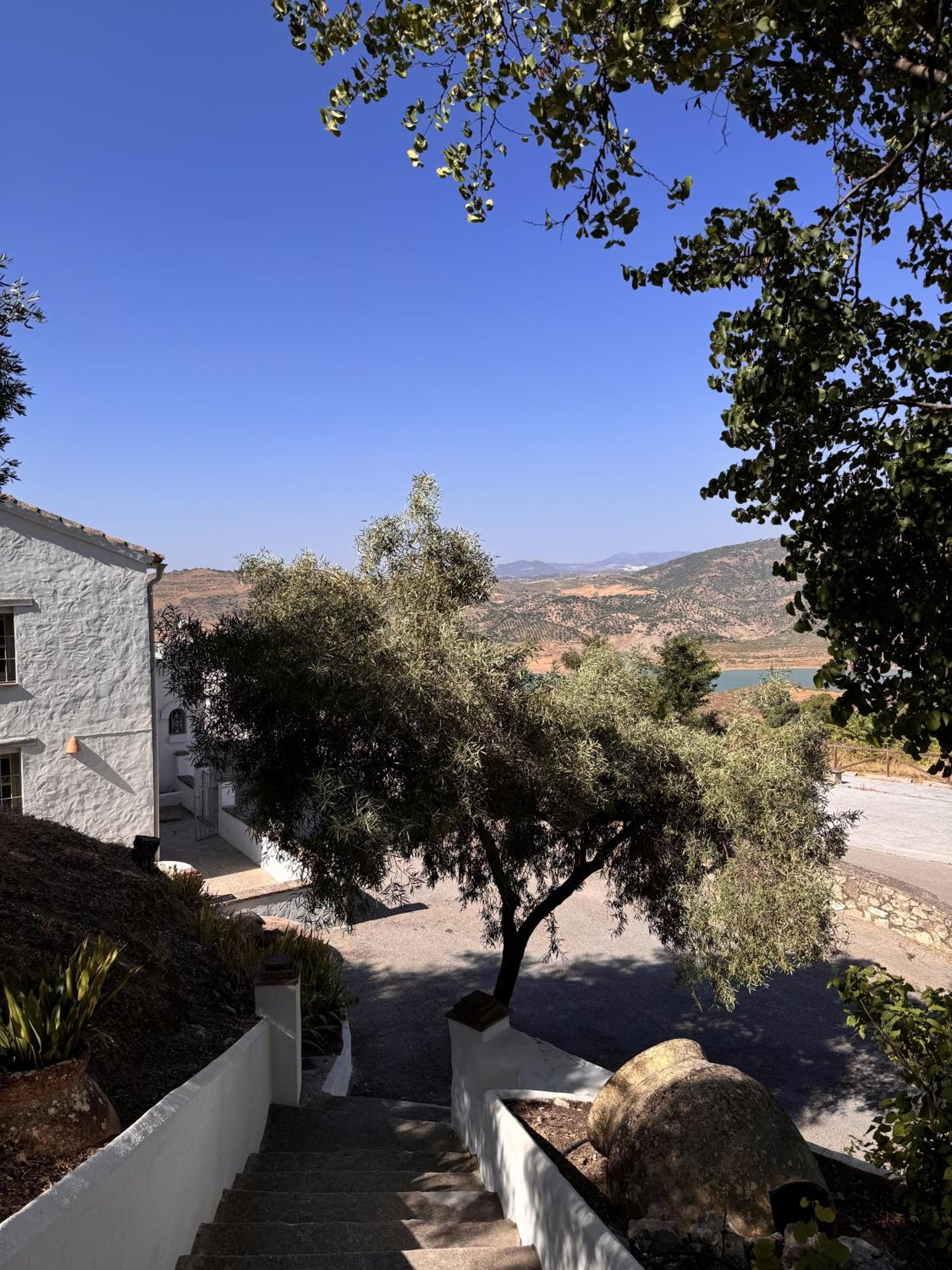 Finca Soleá