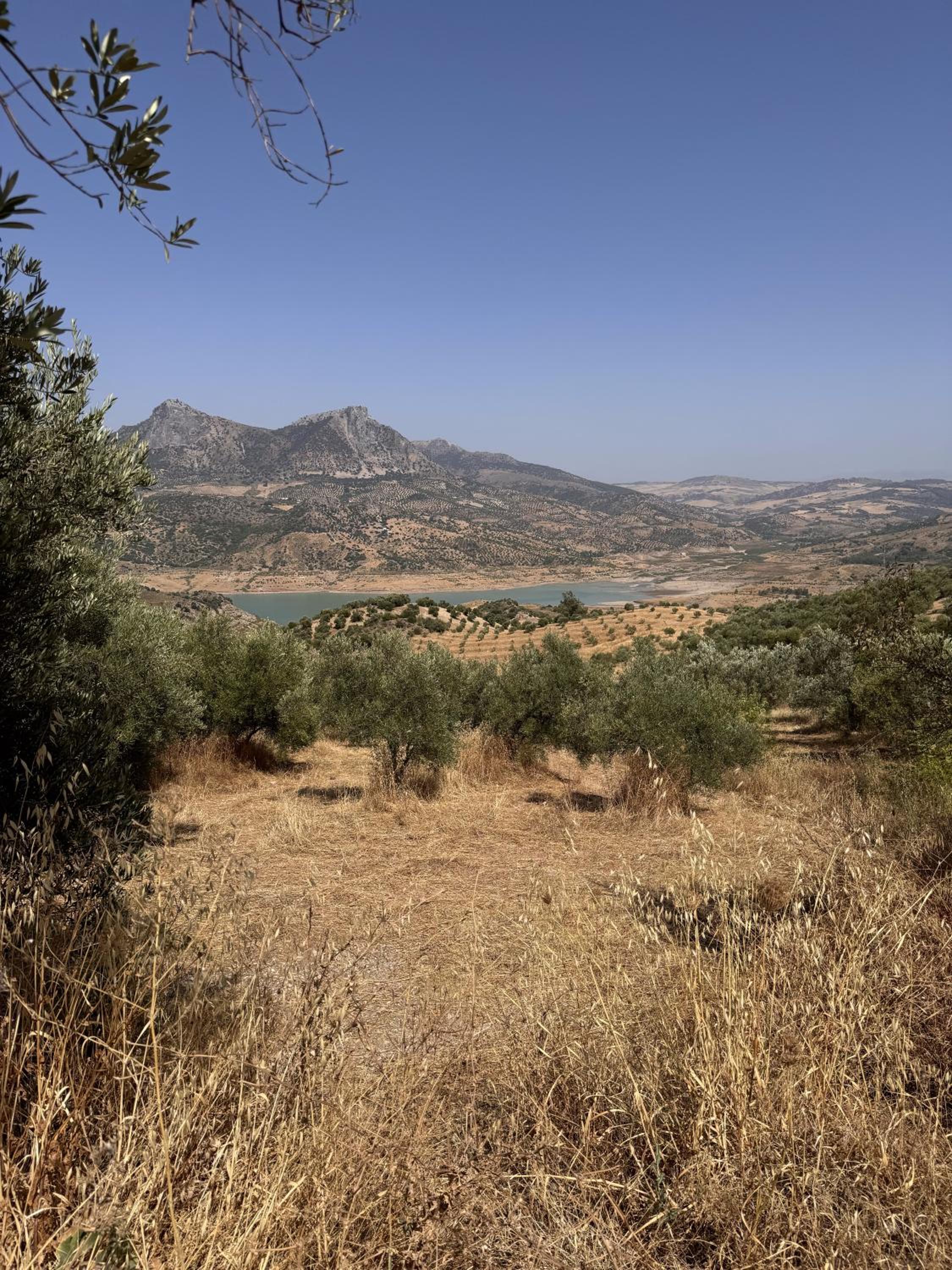 Finca Soleá