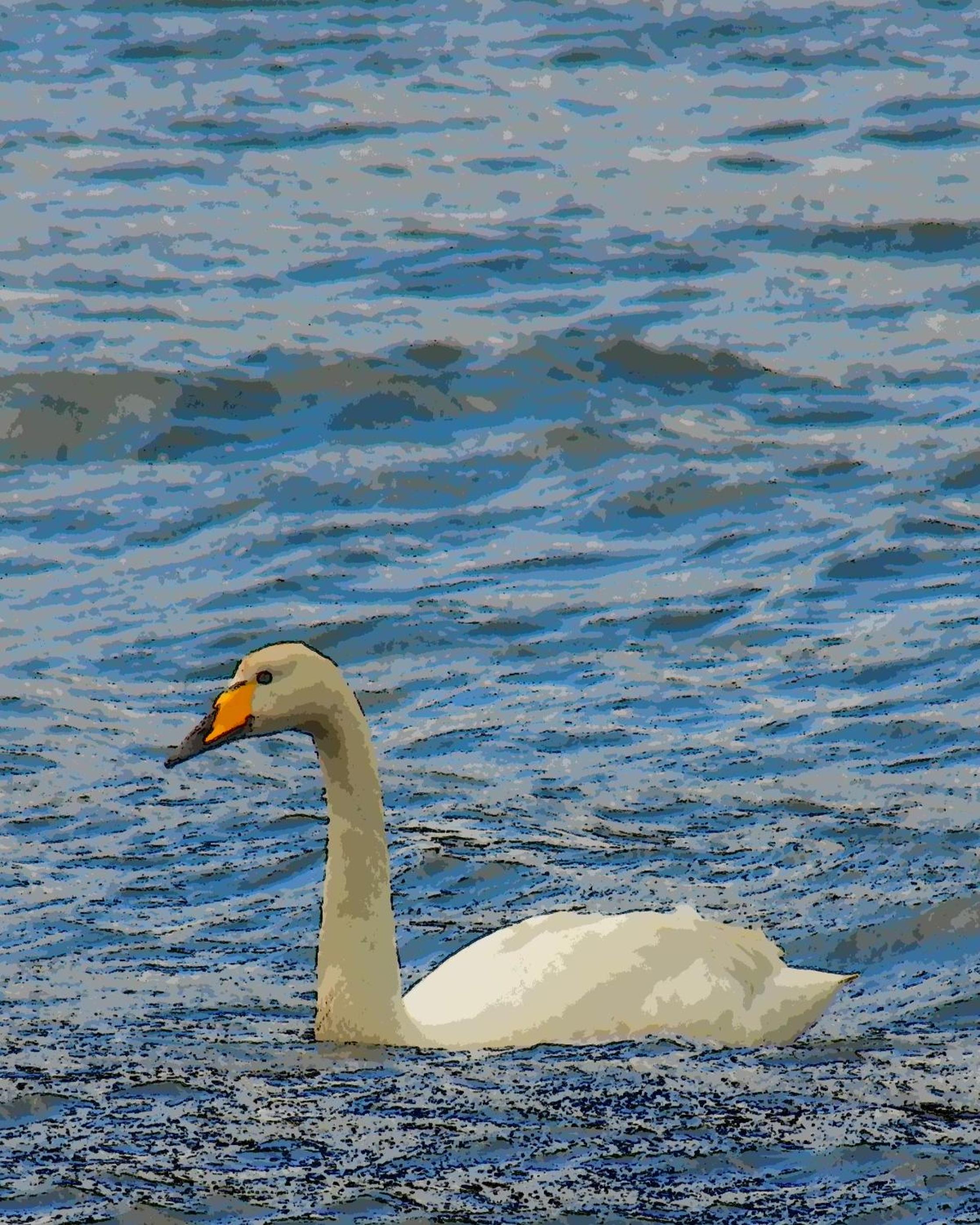 Photo 44