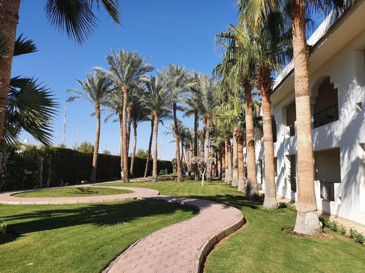 Xperience St. George Sharm El Sheikh — photo 54
