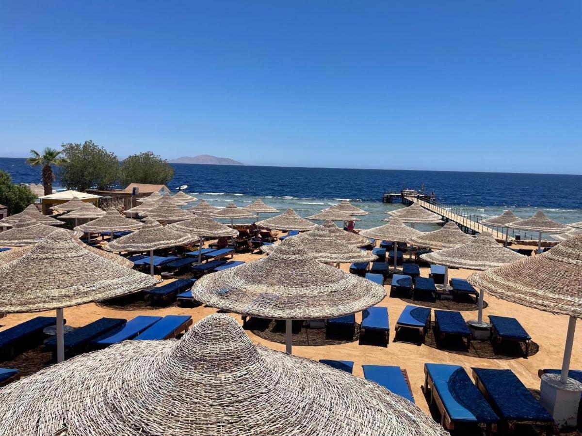 Xperience St. George Sharm El Sheikh — photo 69