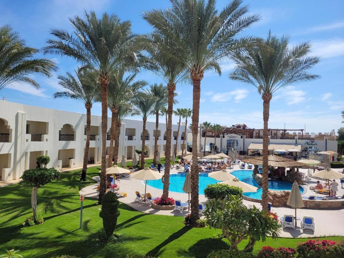 Xperience St. George Sharm El Sheikh — photo 37