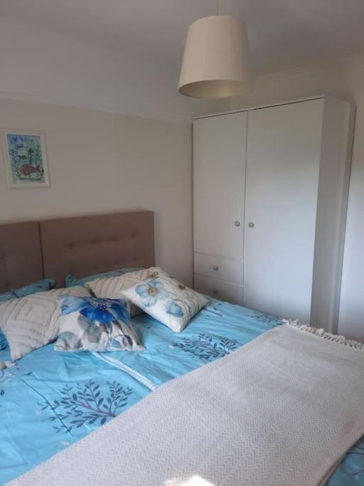Apartment Selina