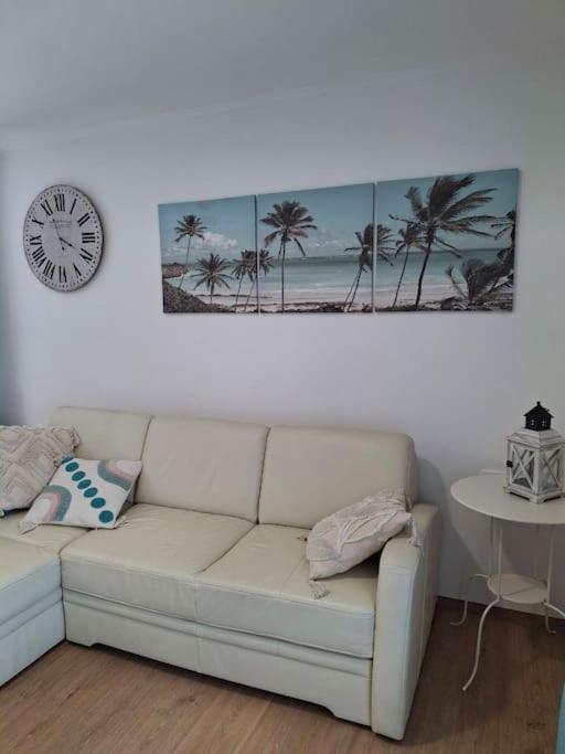 Apartment Selina