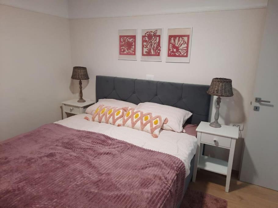 Apartment Selina