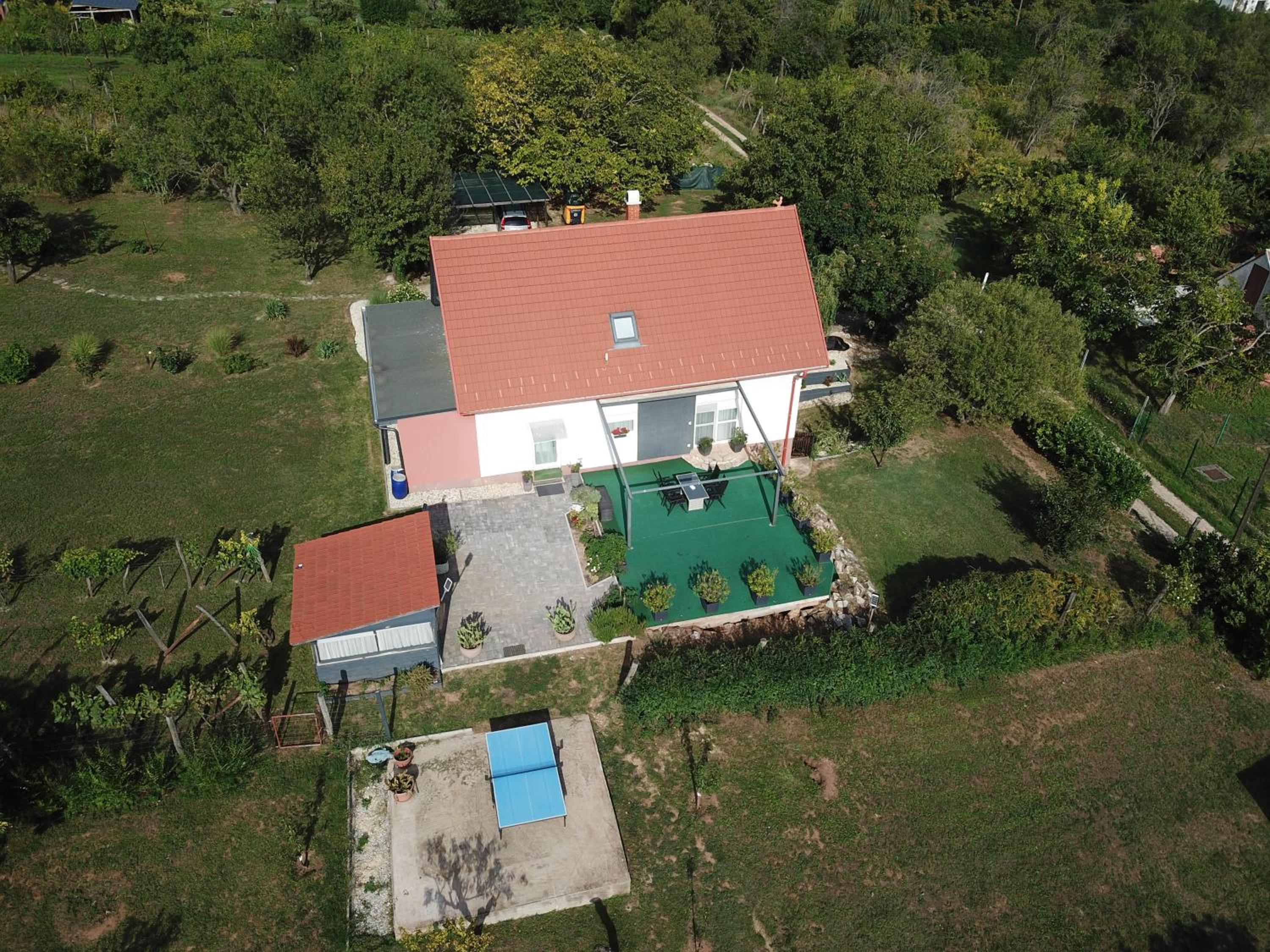 Photo 15