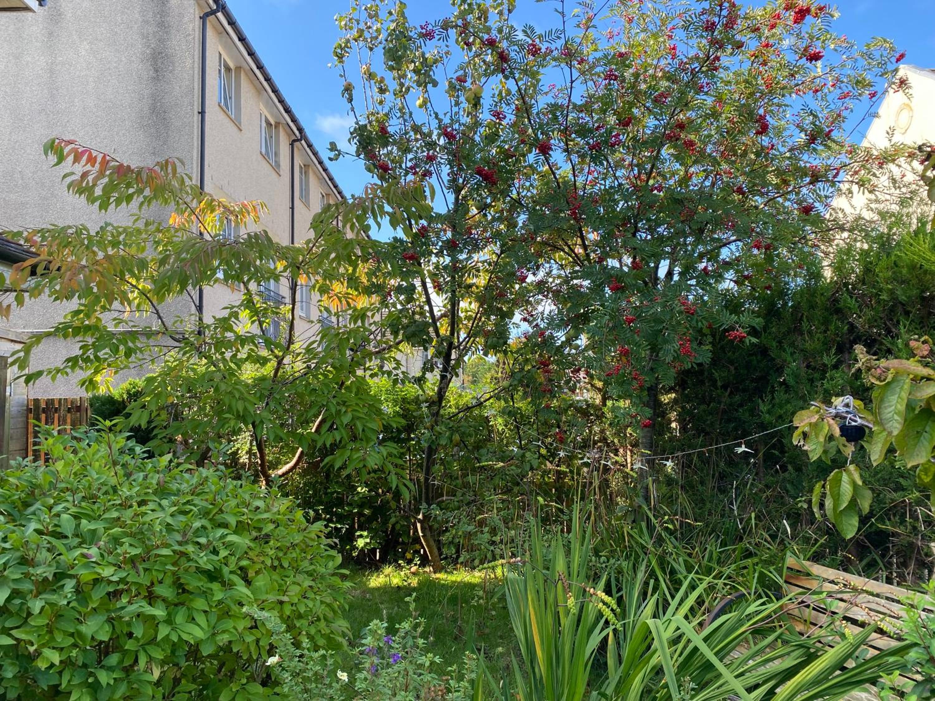 Caledonia House