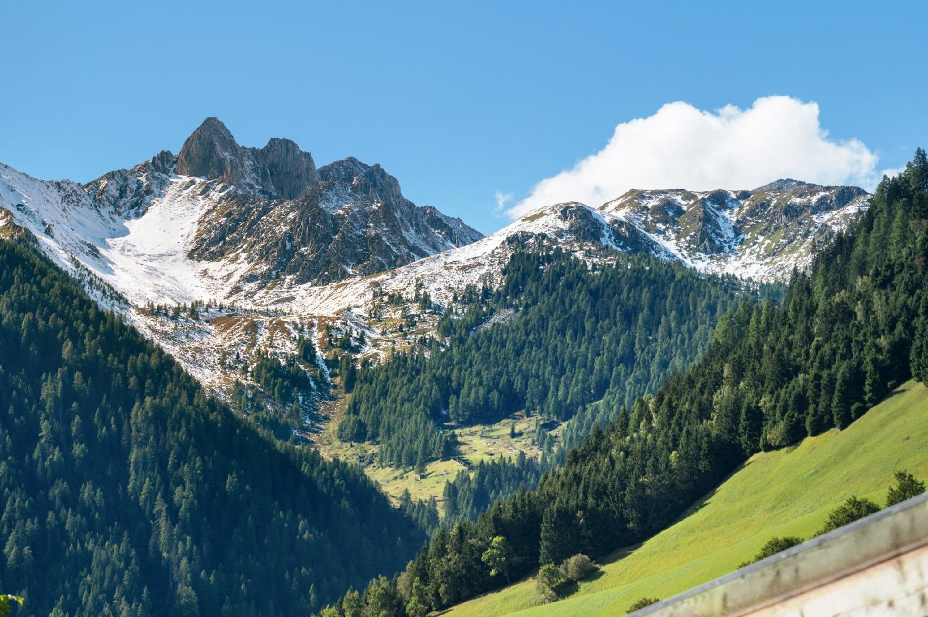 Naturidyll Mitterbach