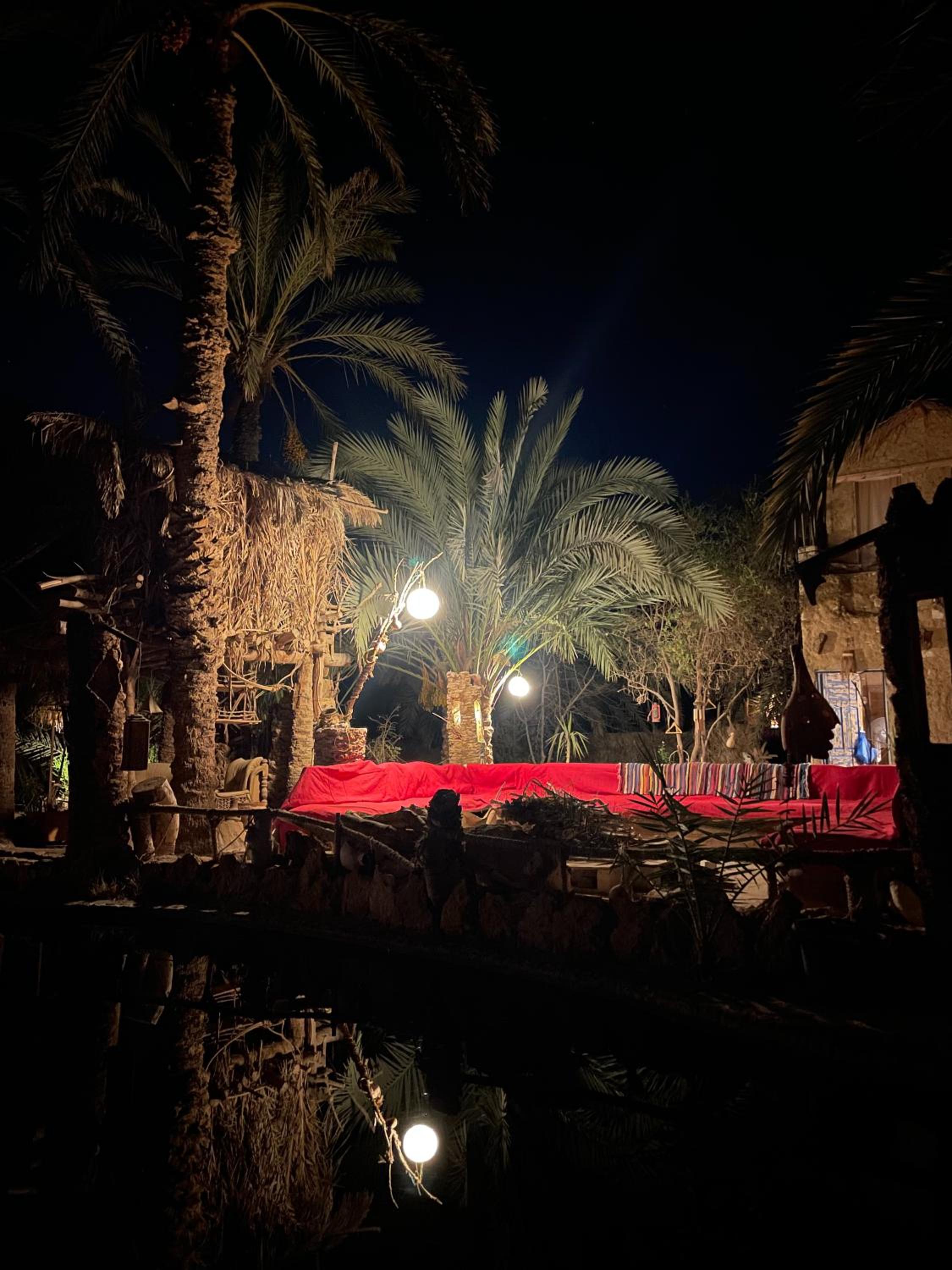 Shamofs art garden
