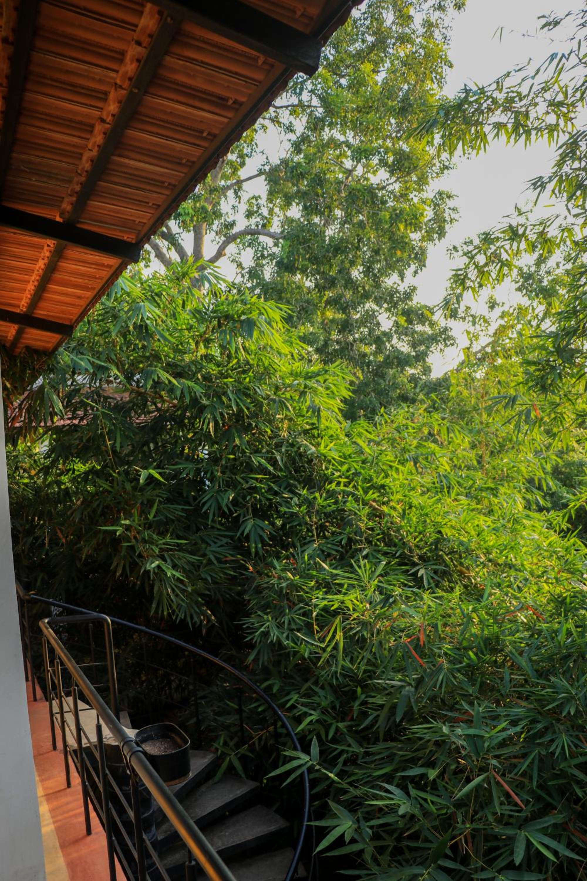 Samantha International The Ultimate Hostel Treat
