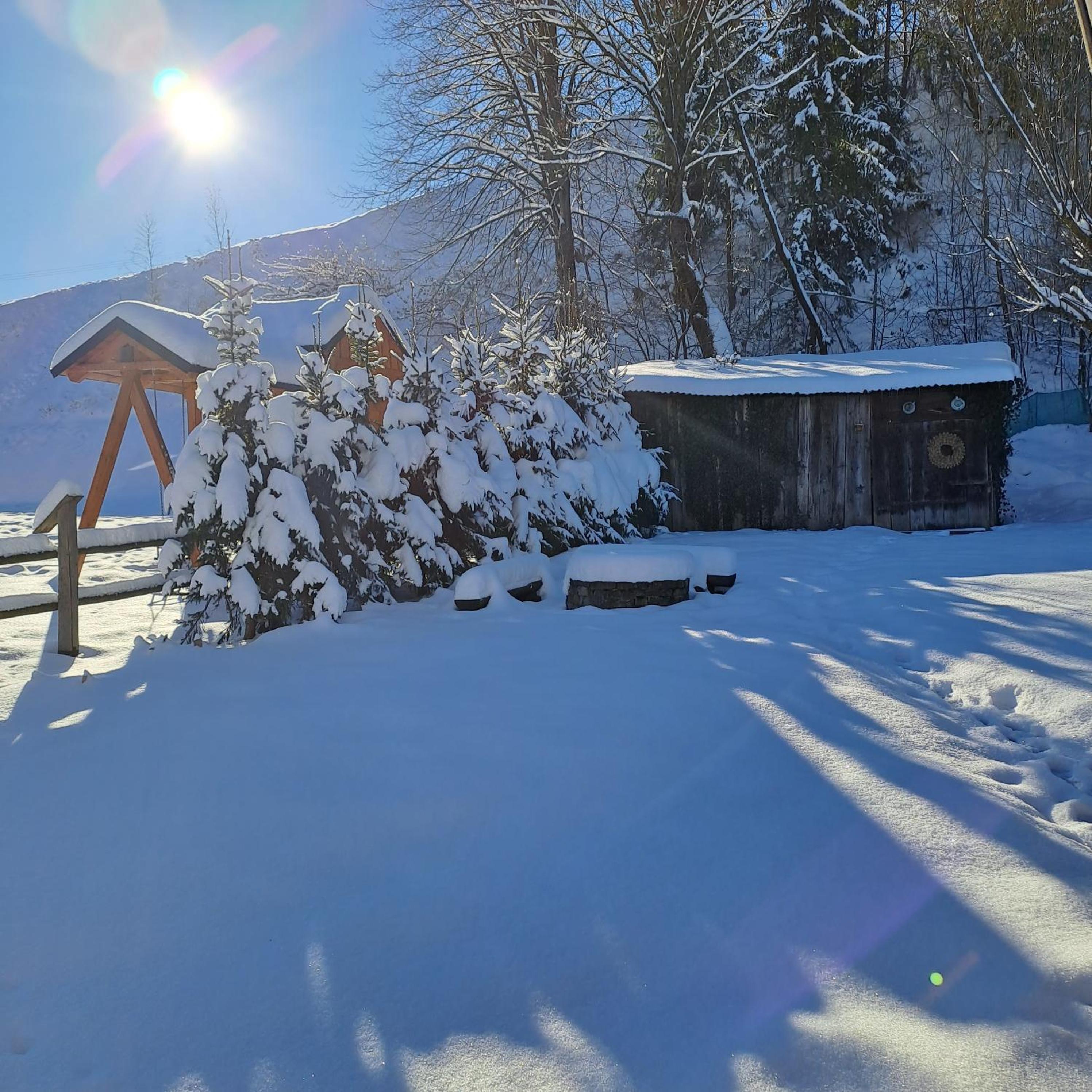 Photo 36