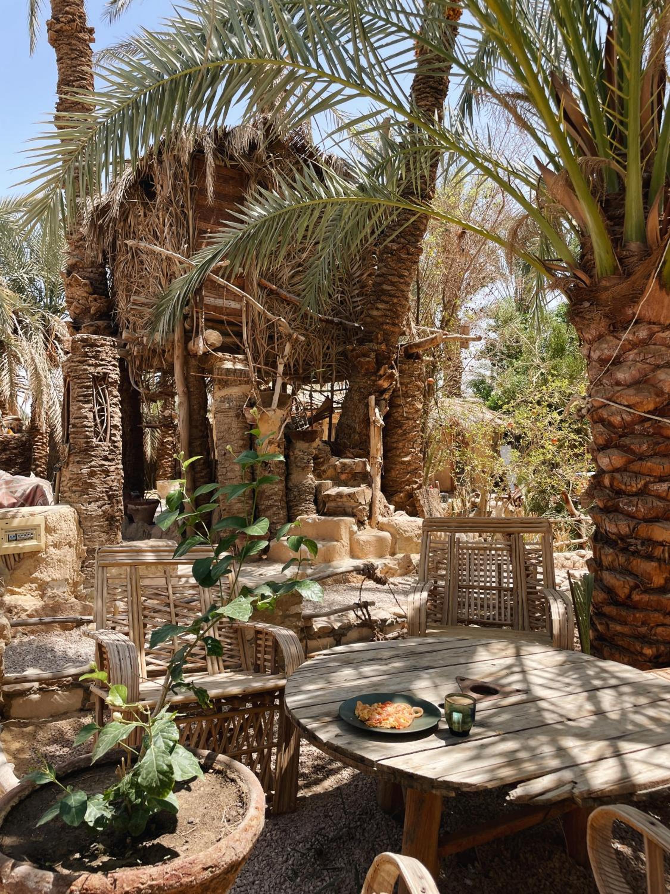 Shamofs art garden