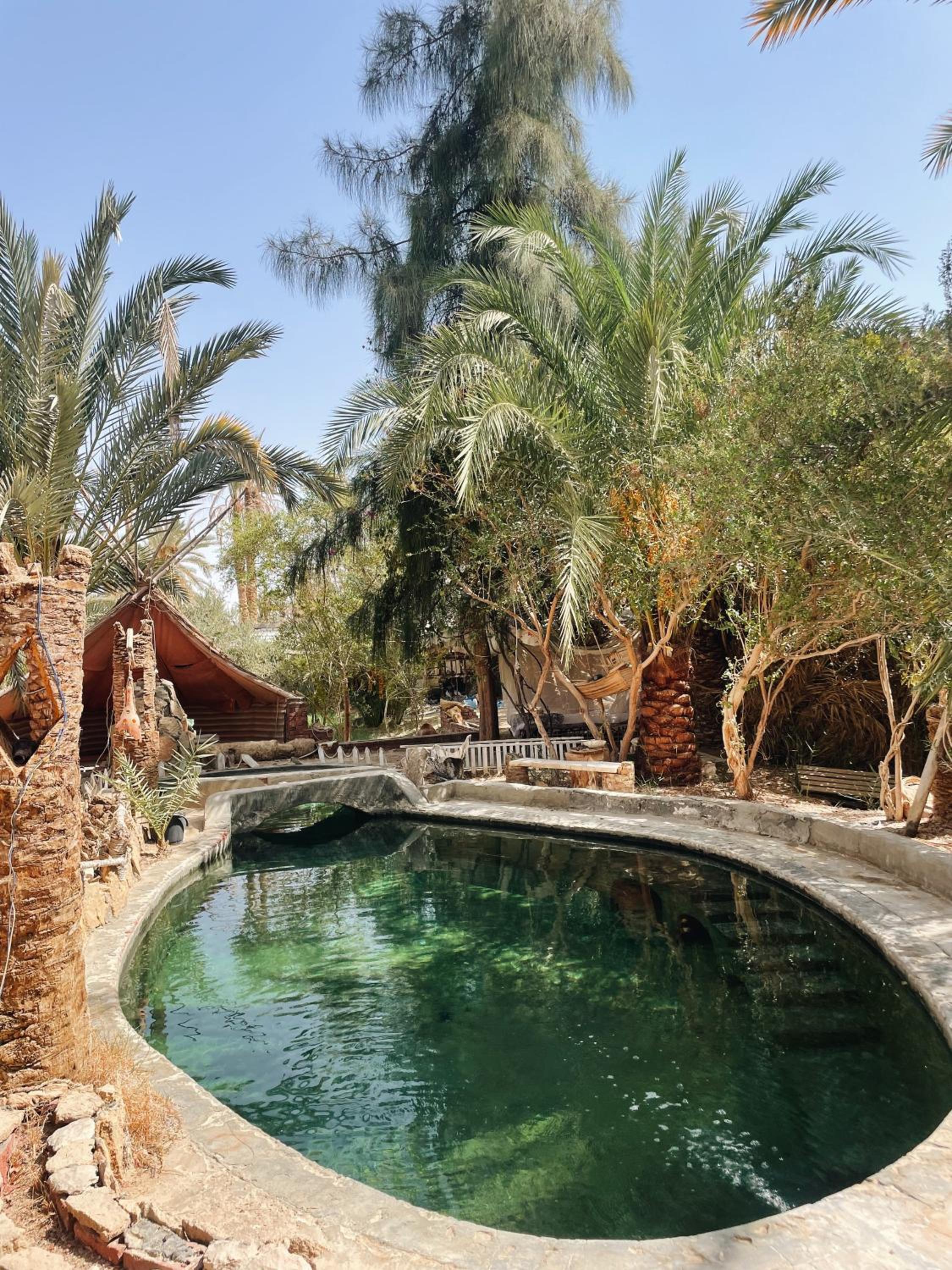 Shamofs art garden