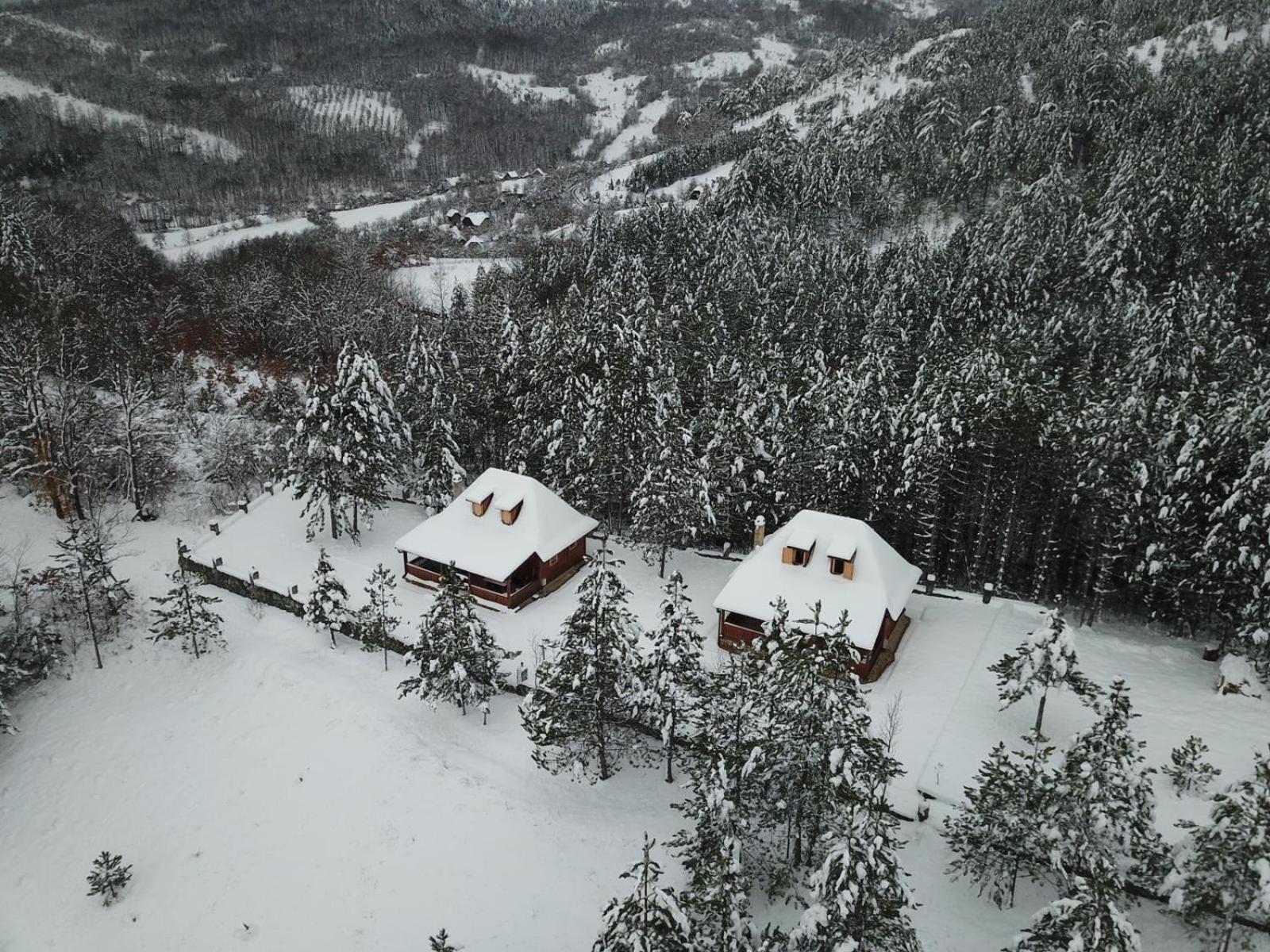 Brvnare Golo Brdo view 2